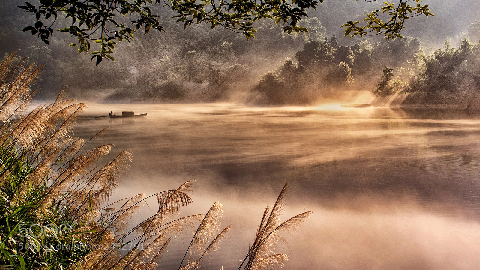 Nikon D800E sample photo. Fog in morning river photography