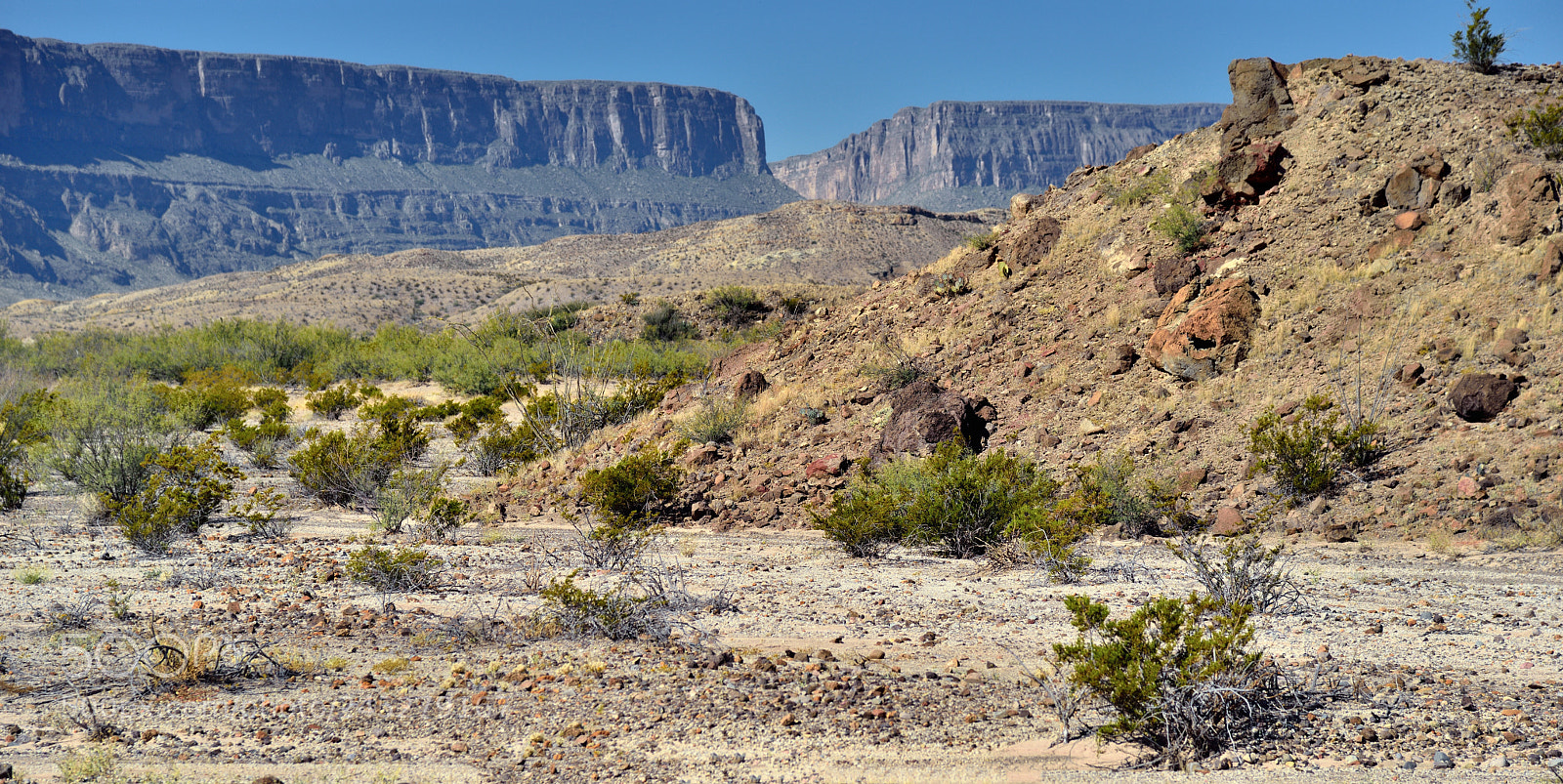 Nikon D800E sample photo. A varied landscape to photography