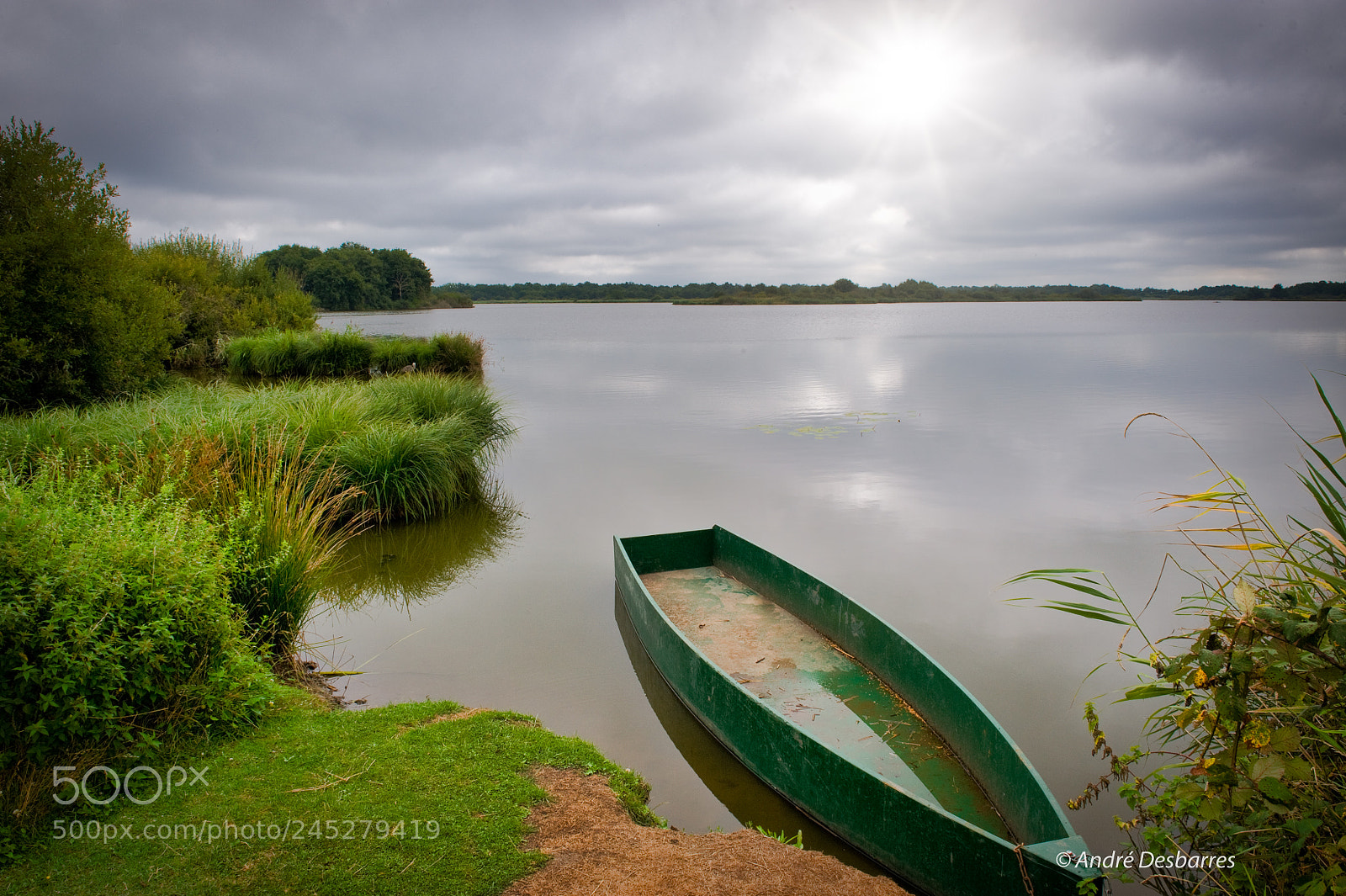Nikon D3 sample photo. Etang de la brenne photography