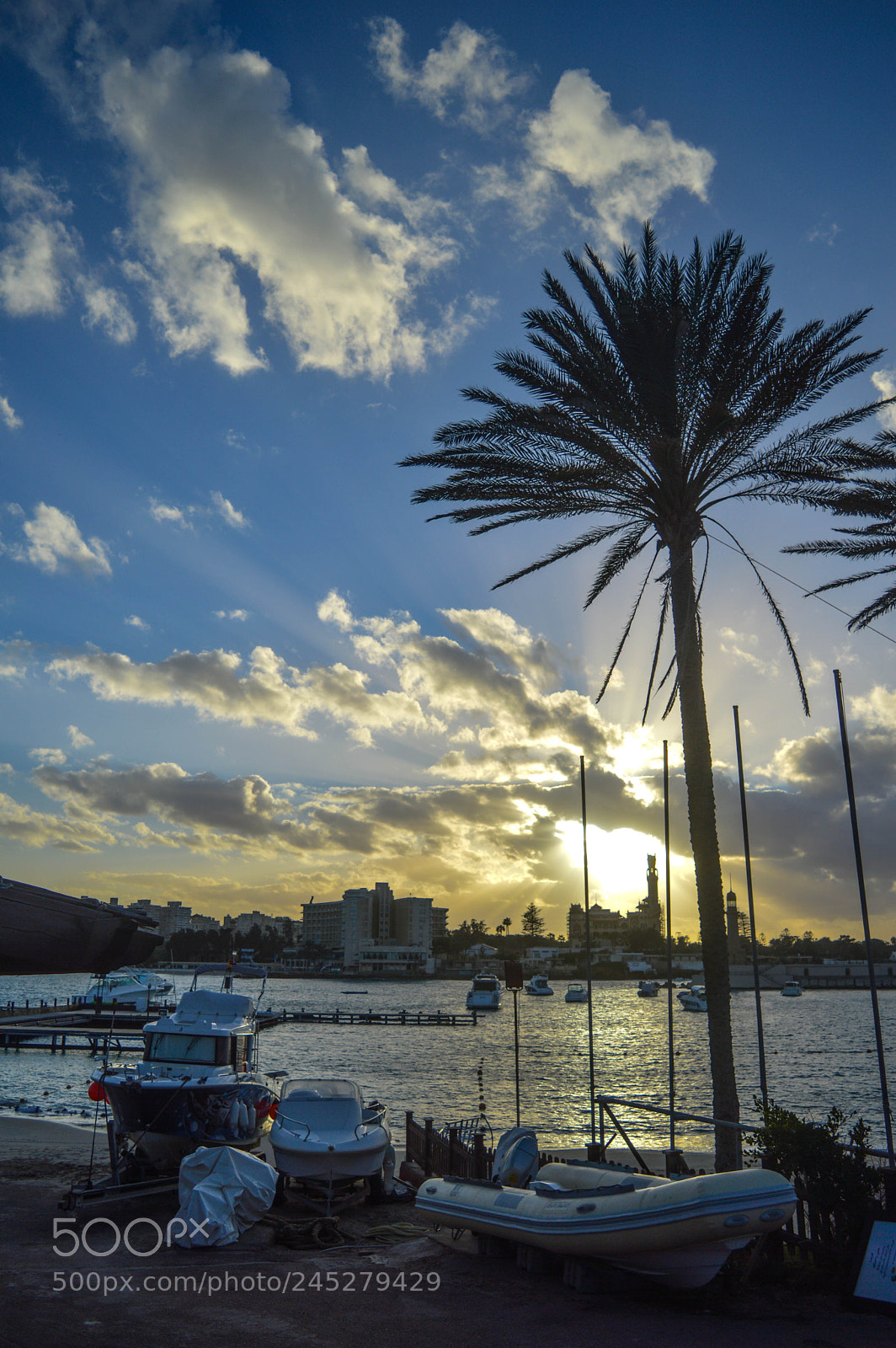 Nikon D3200 sample photo. Sunset in alexandria photography