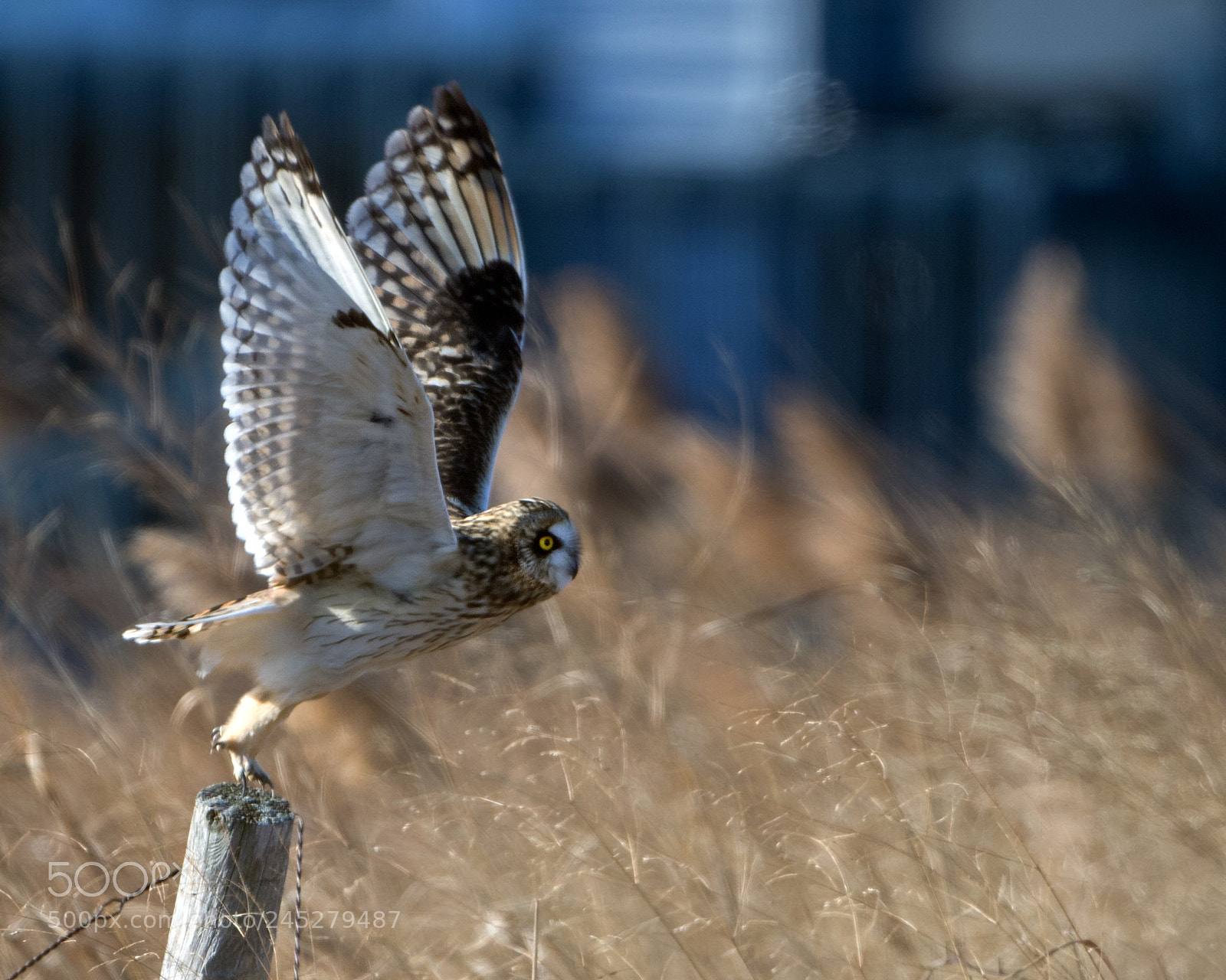 Canon EOS 7D Mark II sample photo. Time to go photography
