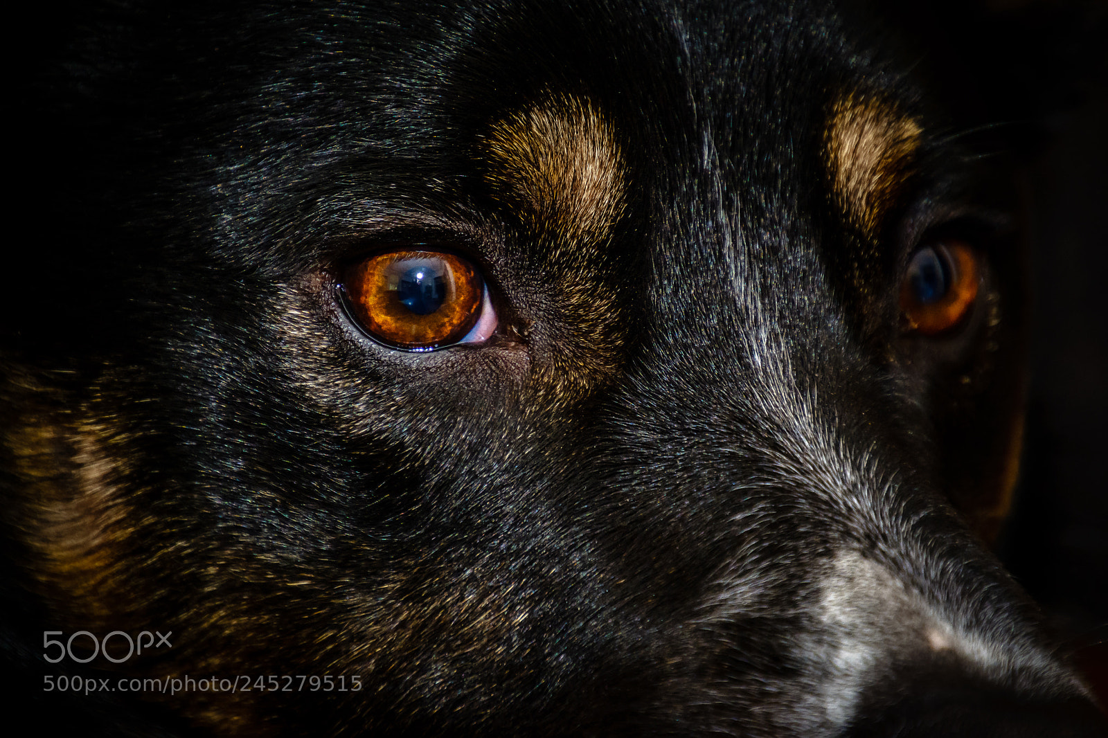 Nikon D7100 sample photo. His name is chase photography