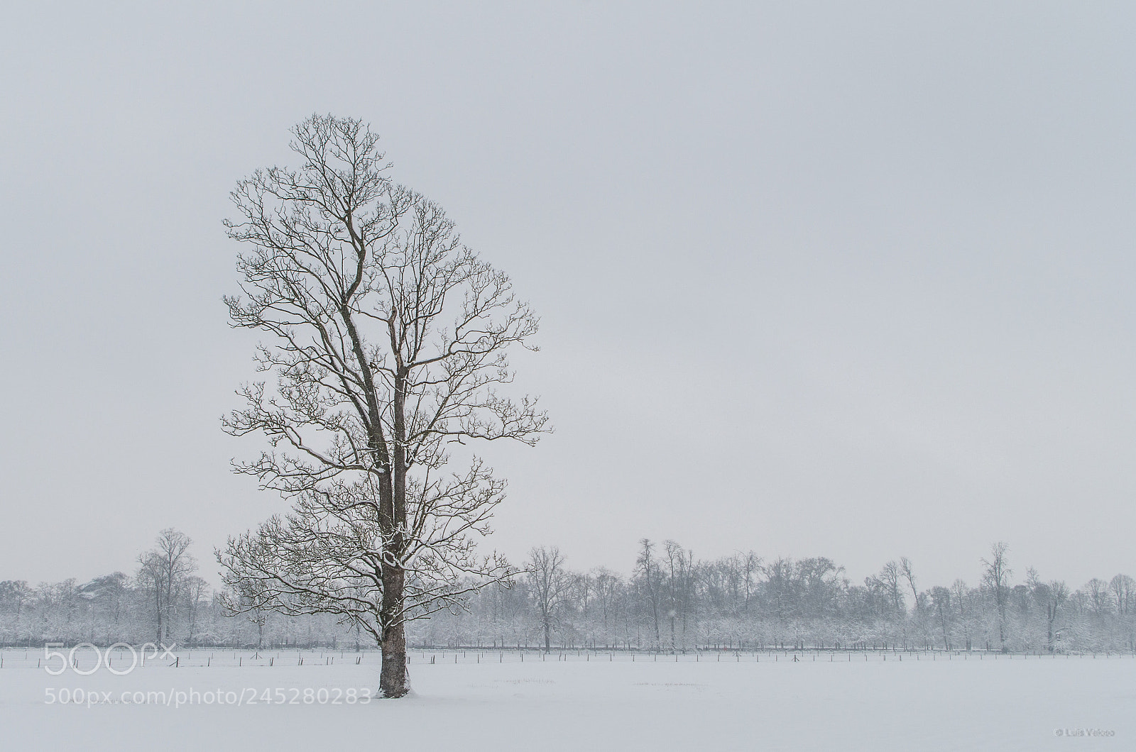 Pentax K-30 sample photo. Versailles under snow photography
