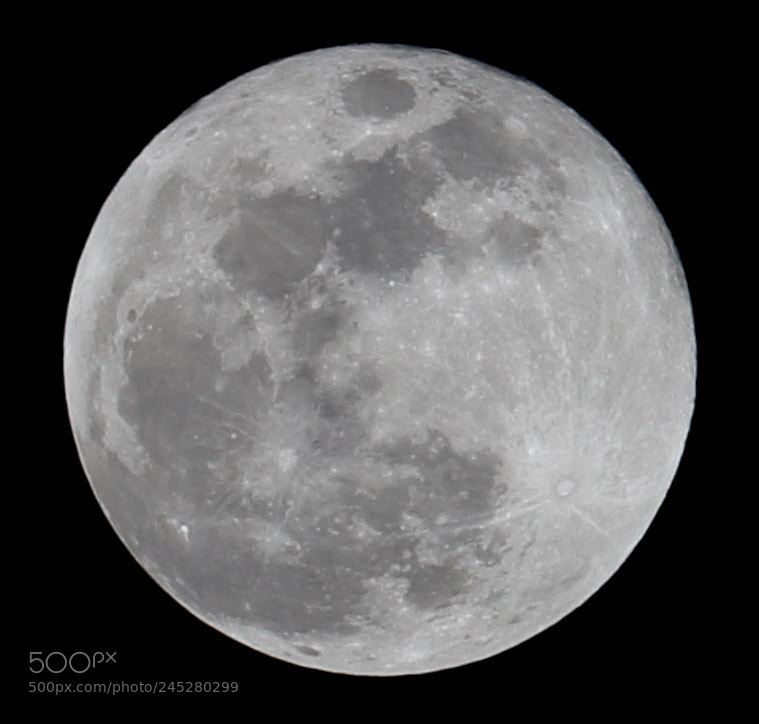 Canon EOS 800D (EOS Rebel T7i / EOS Kiss X9i) sample photo. Full moon photography