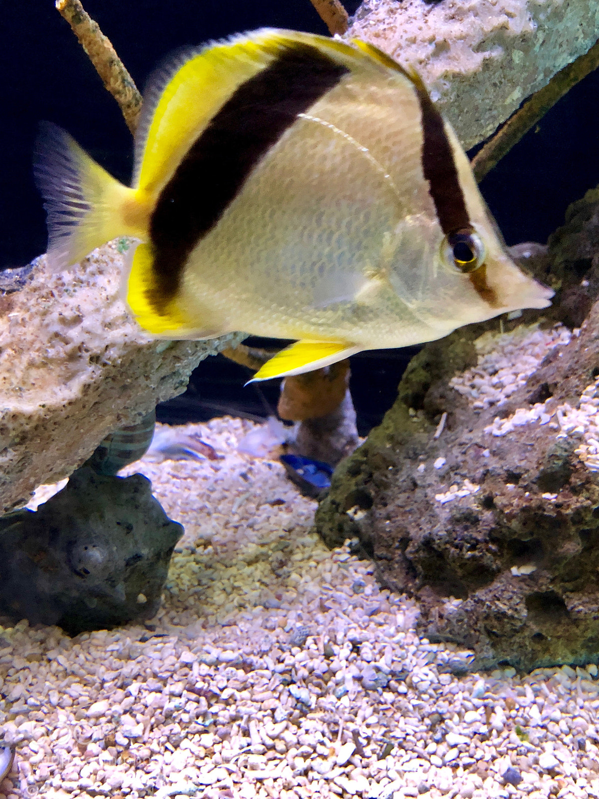 Apple iPhone 8 Plus sample photo. The water’s fine photography