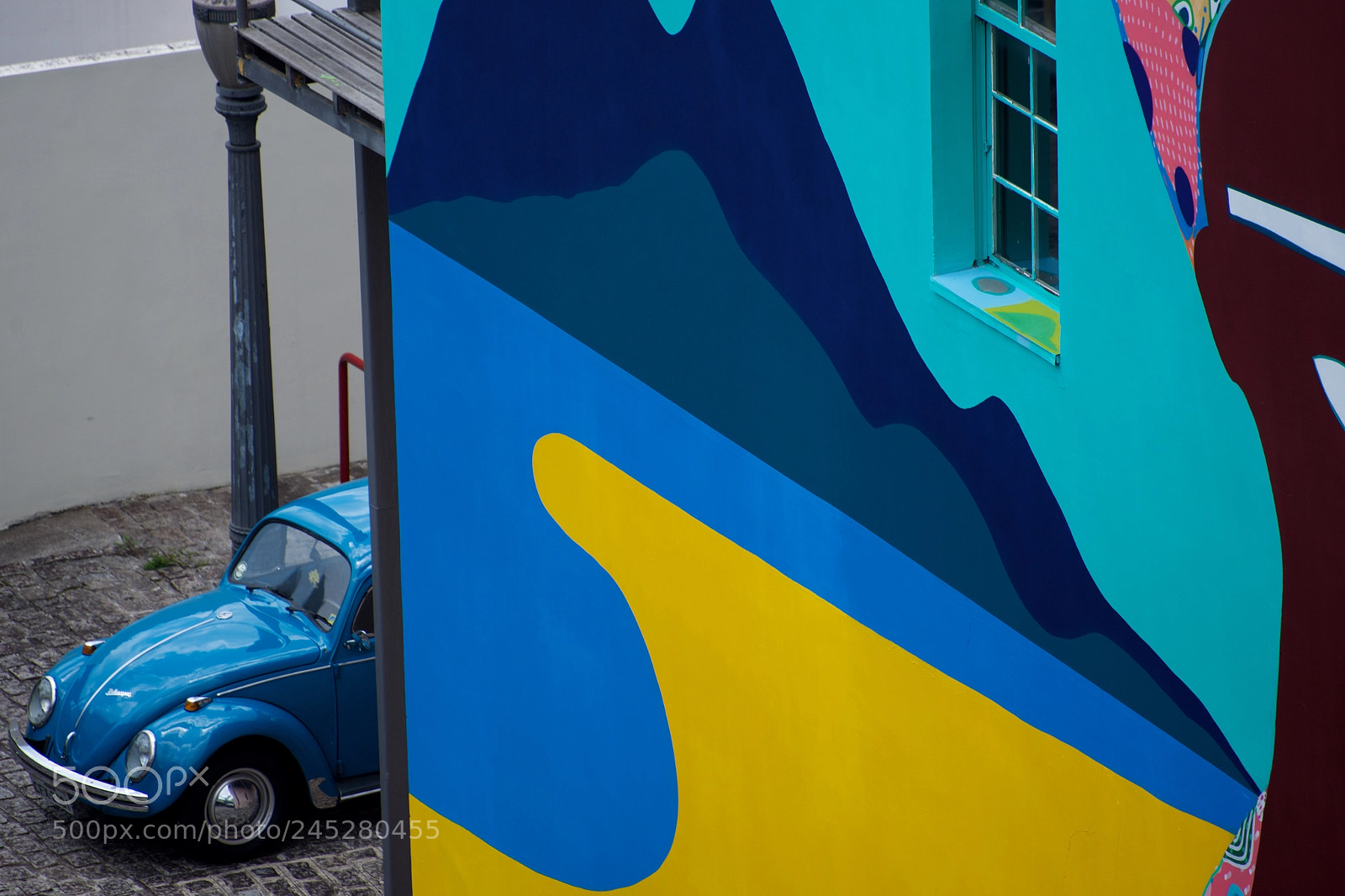 Nikon D610 sample photo. Blue beetle photography
