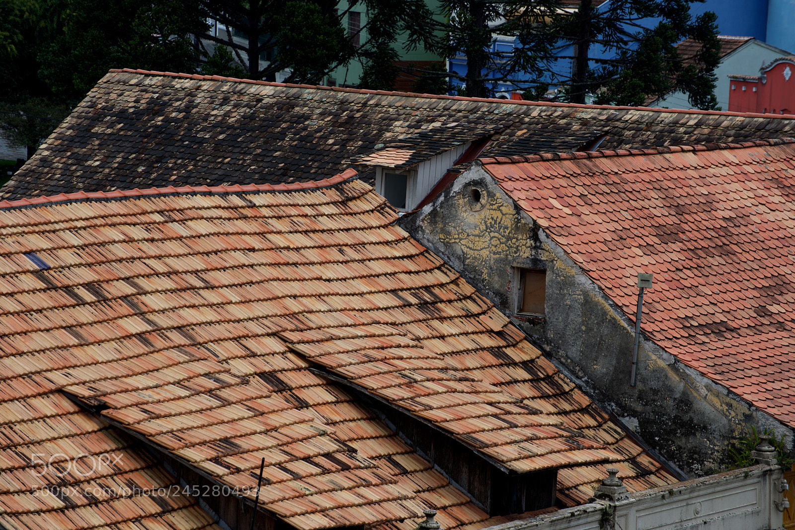 Nikon D610 sample photo. Roofs in curitiba photography