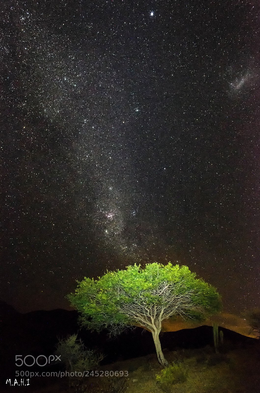 Nikon D5100 sample photo. Espino photography