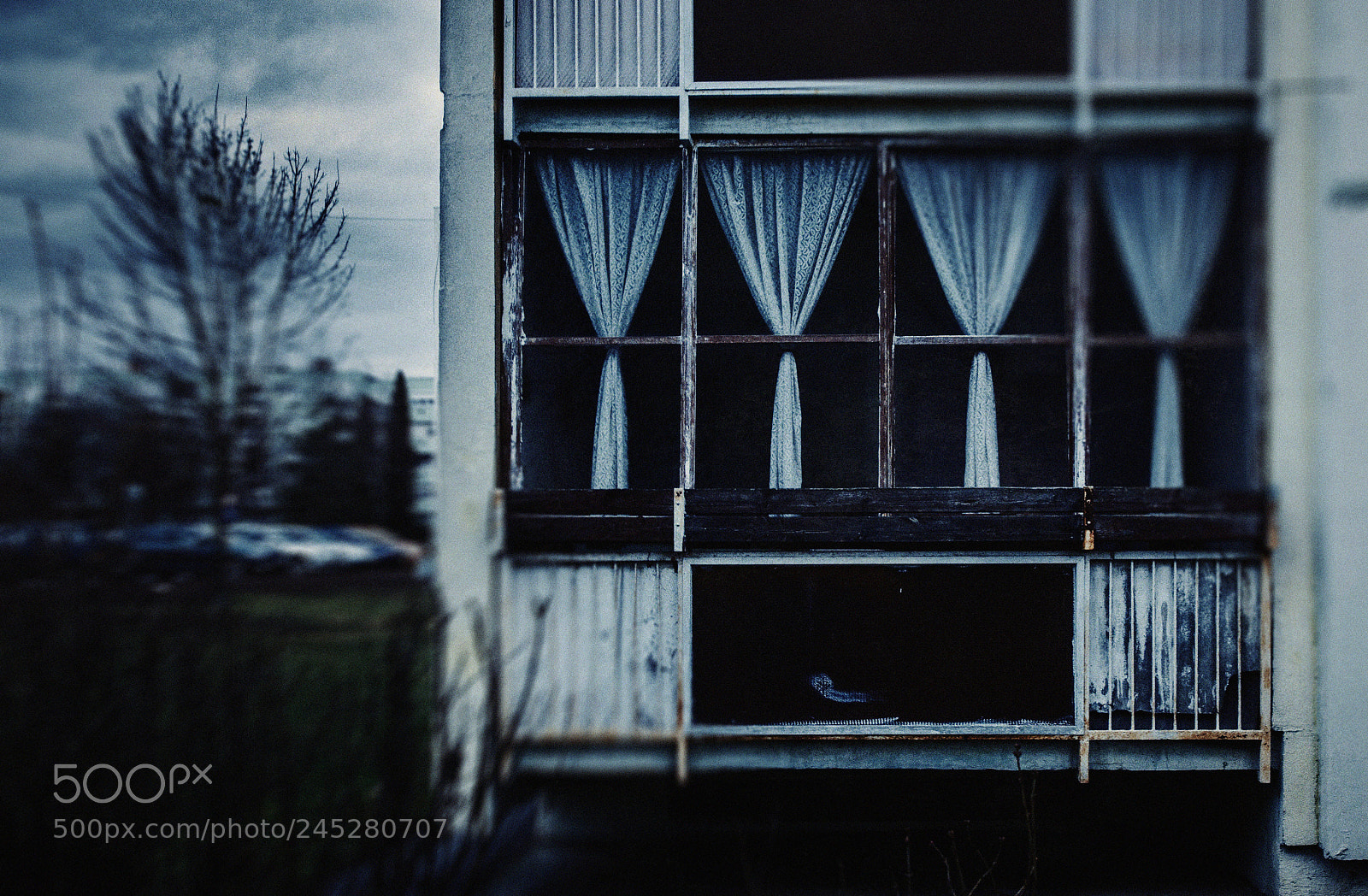 Nikon D810 sample photo. Untitled photography