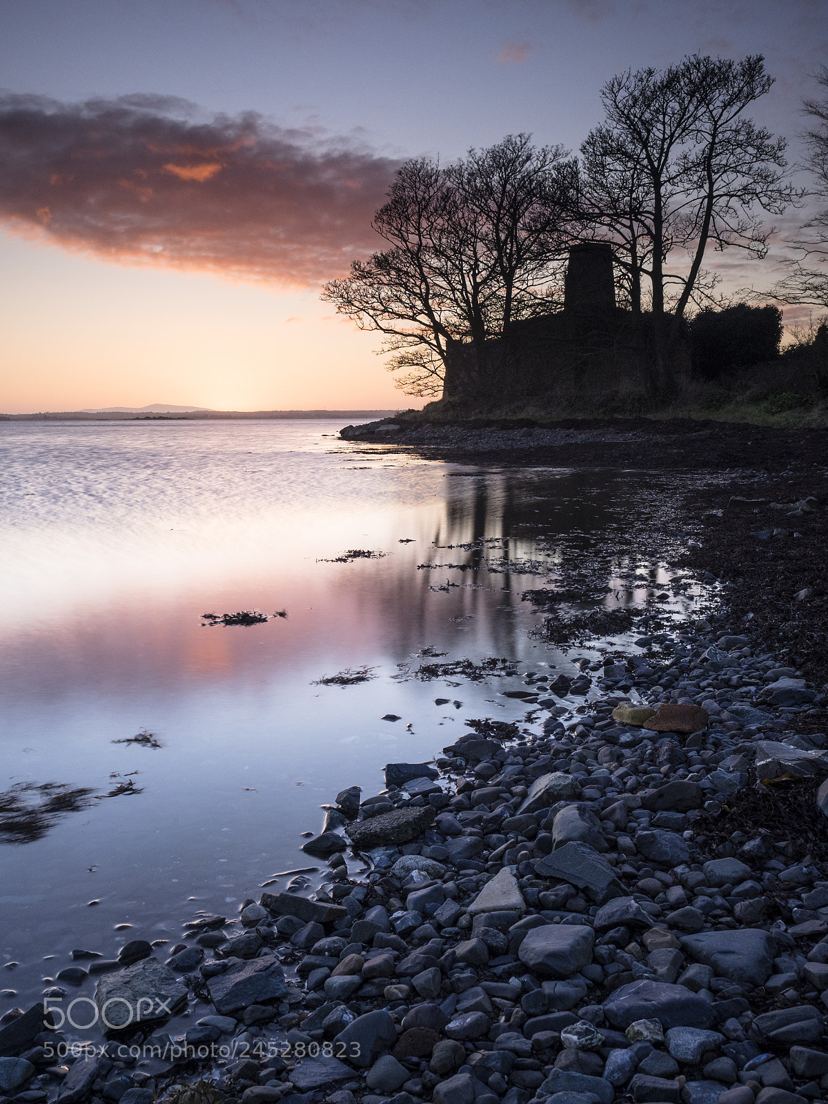 Olympus OM-D E-M1 sample photo. Mount stewart january evening 1 photography