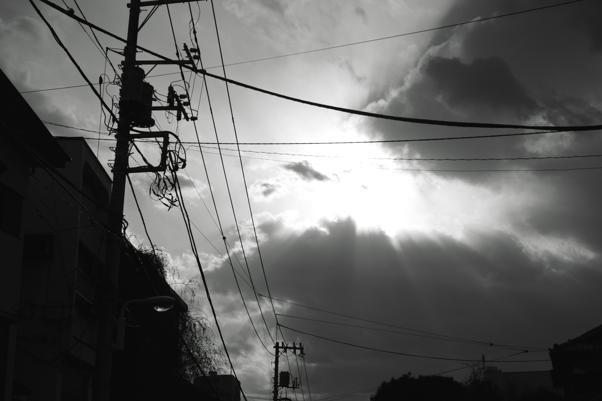 Sony a7 II + Sony Sonnar T* FE 55mm F1.8 ZA sample photo. Bw4 photography