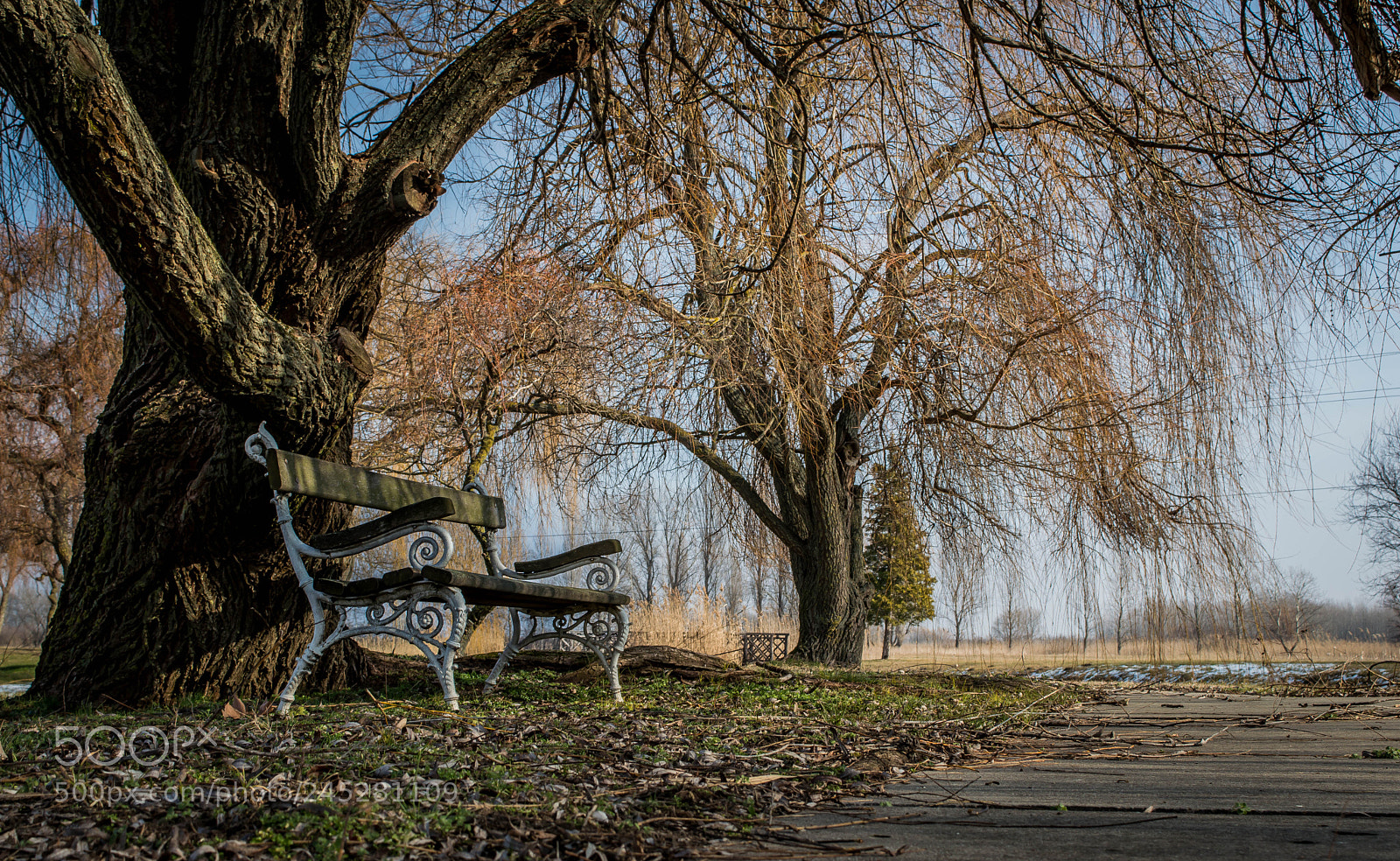 Nikon D3200 sample photo. Winter peace photography