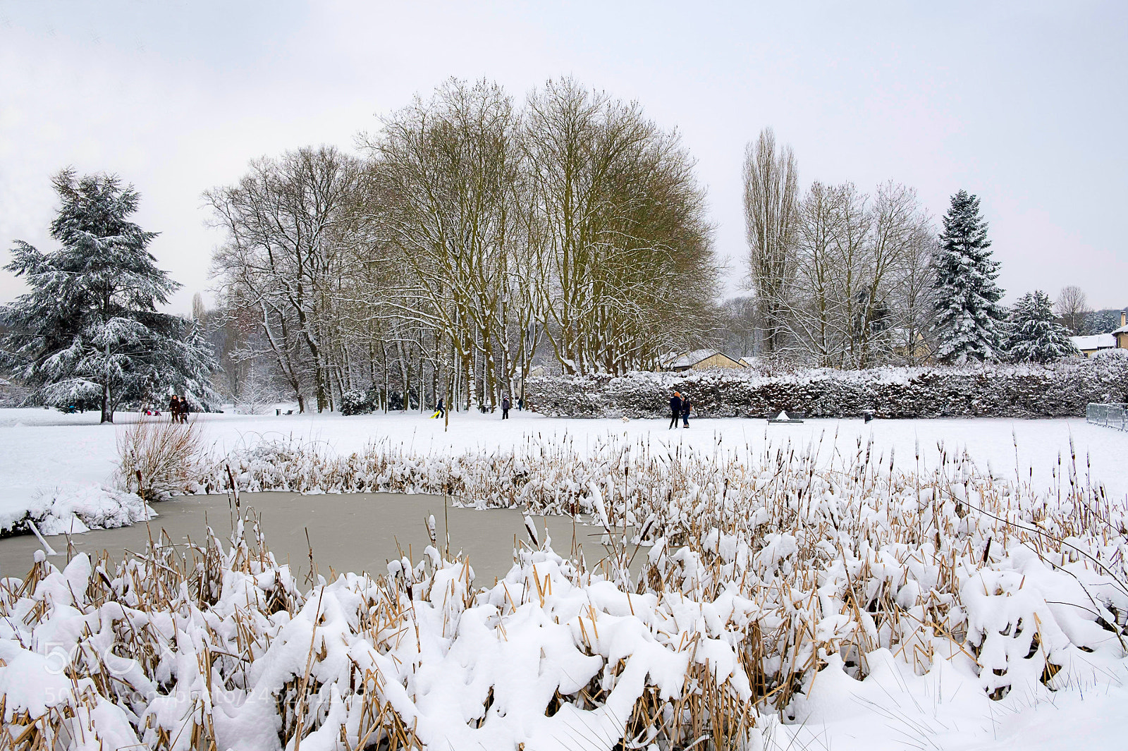 Fujifilm X-T20 sample photo. Exceptional snow photography