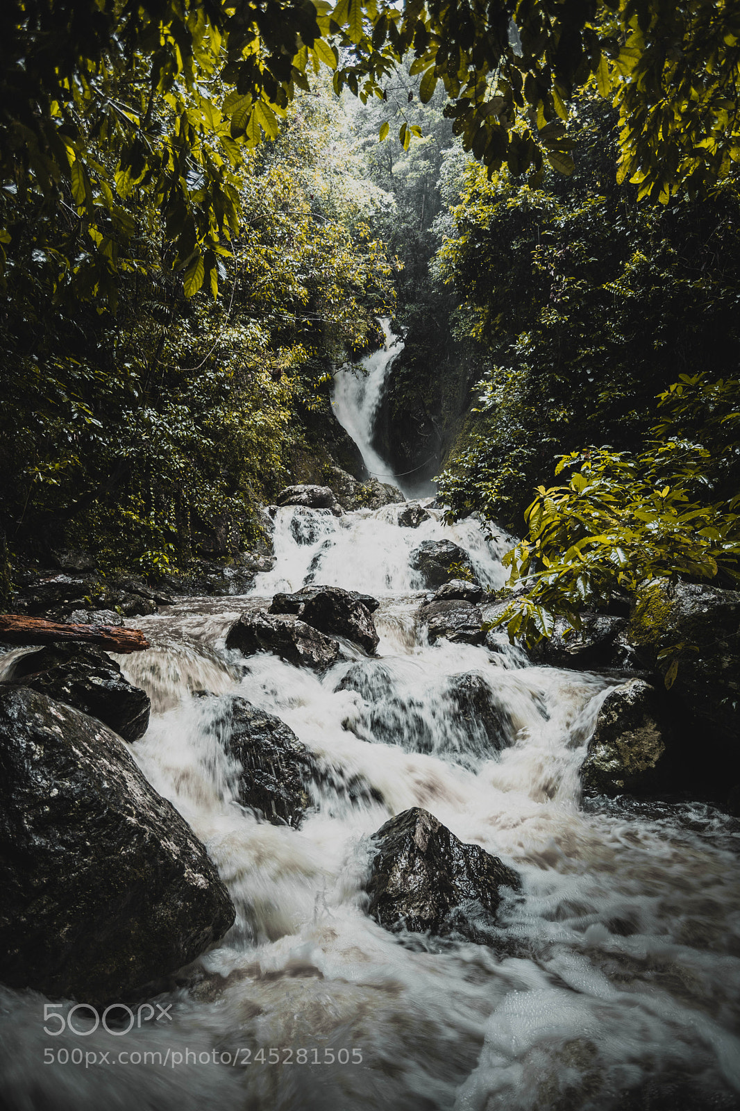 Canon EOS 6D Mark II sample photo. Fairy falls cairns. so photography