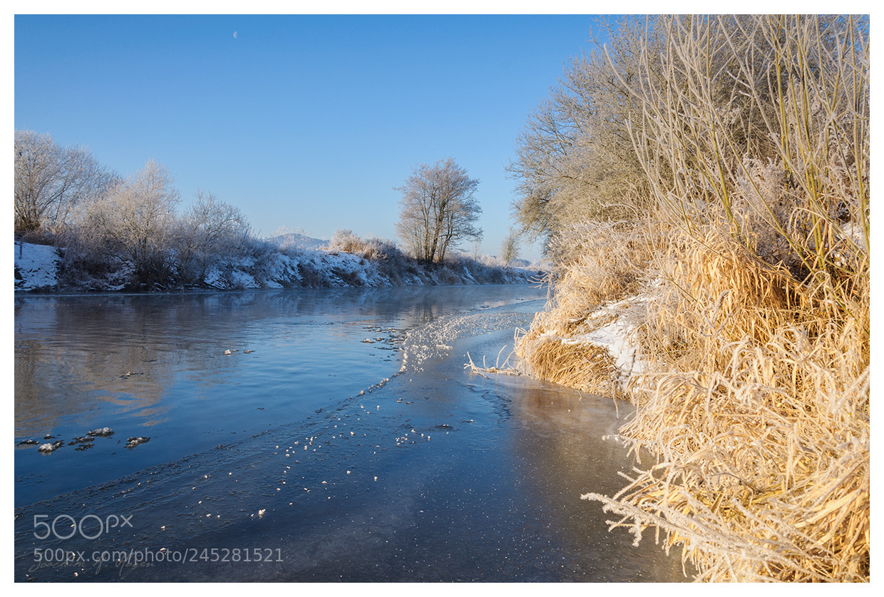 Nikon D90 sample photo. Theisau january 2017 photography