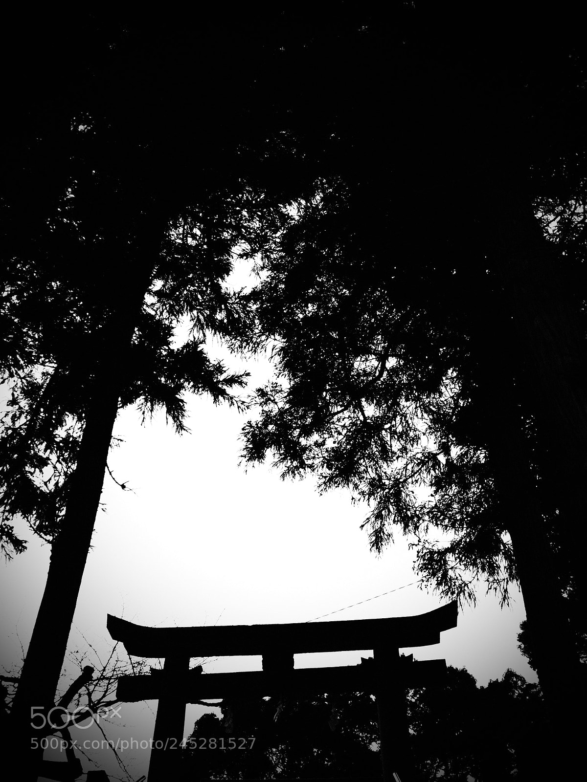 Olympus PEN E-PL6 sample photo. Noli me tangere photography