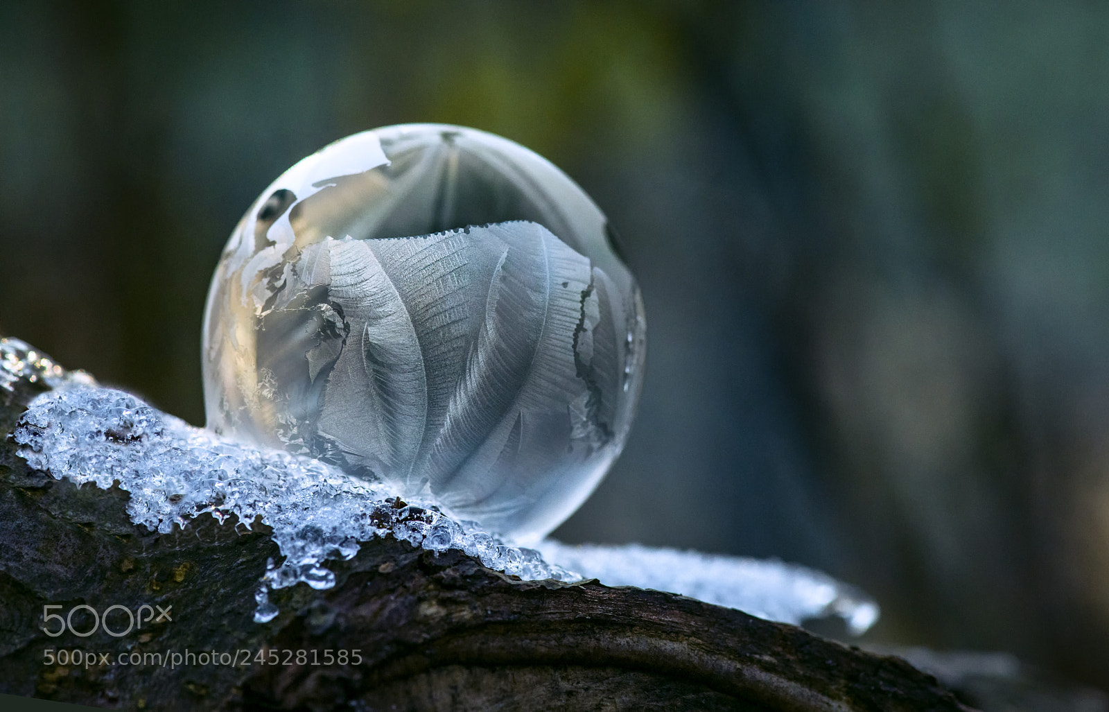 Nikon D800 sample photo. On a cold morning photography