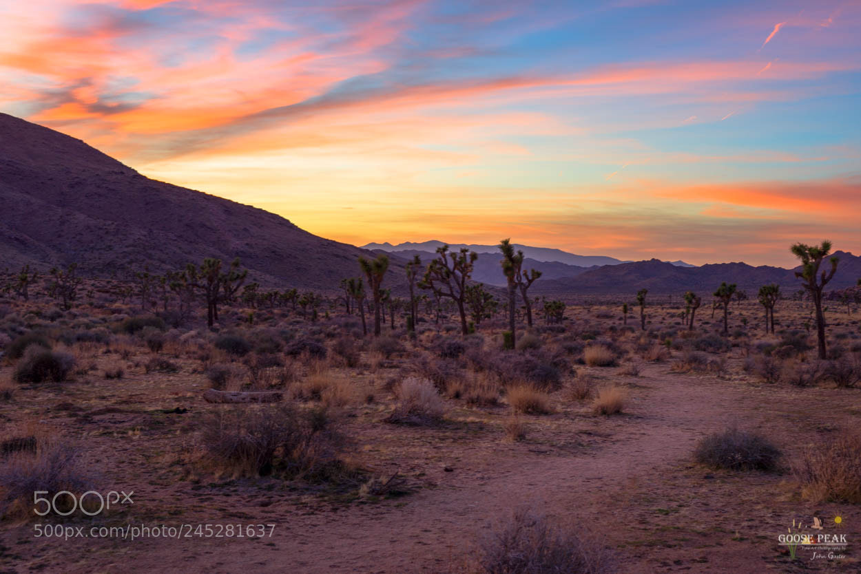 Sony a7R sample photo. Dusk photography
