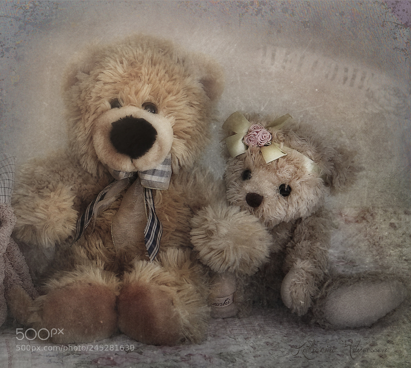 Canon EOS 60D sample photo. The old couple photography