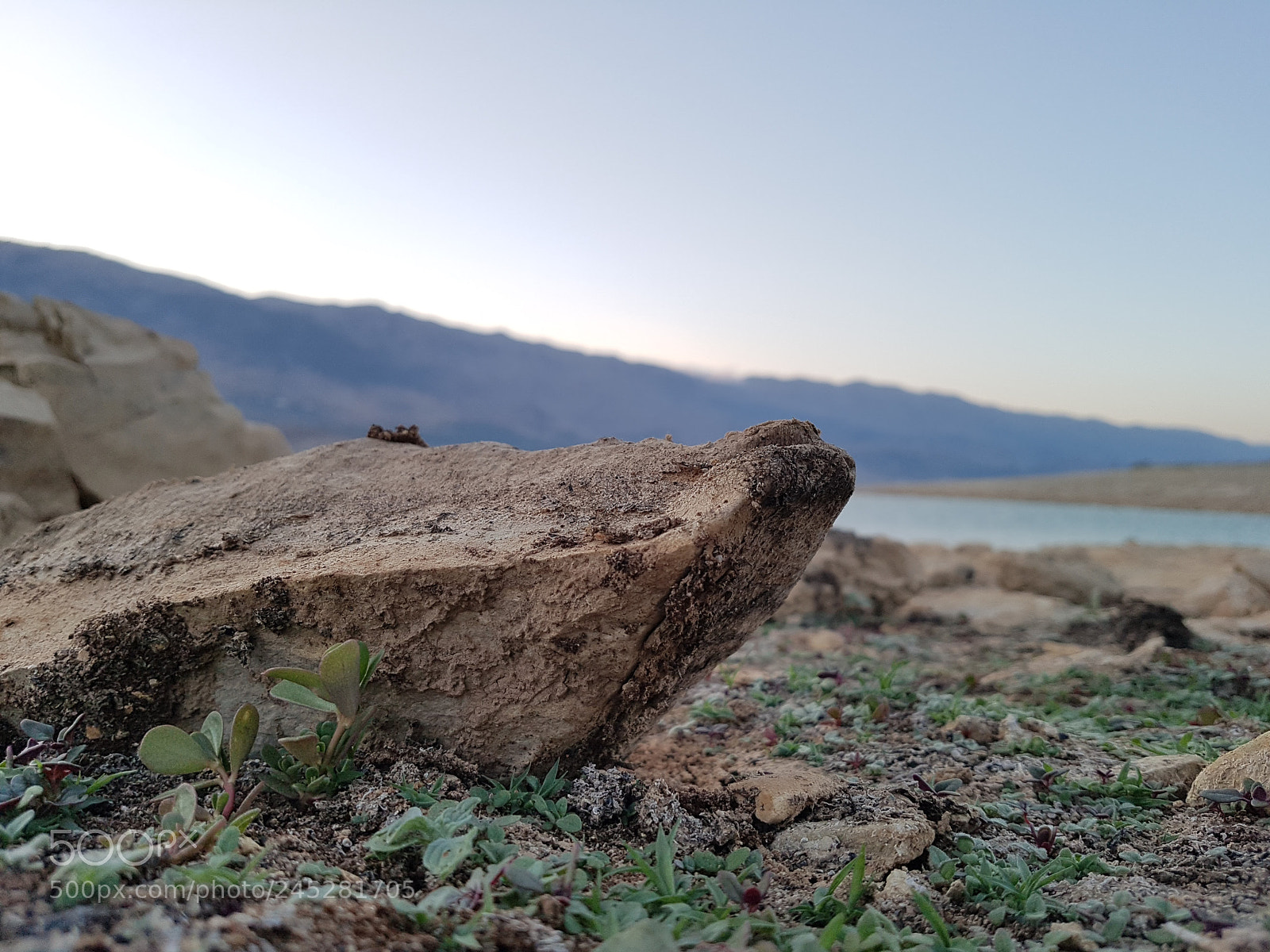 Samsung Galaxy S7 Edge sample photo. Tiny or giant it's photography