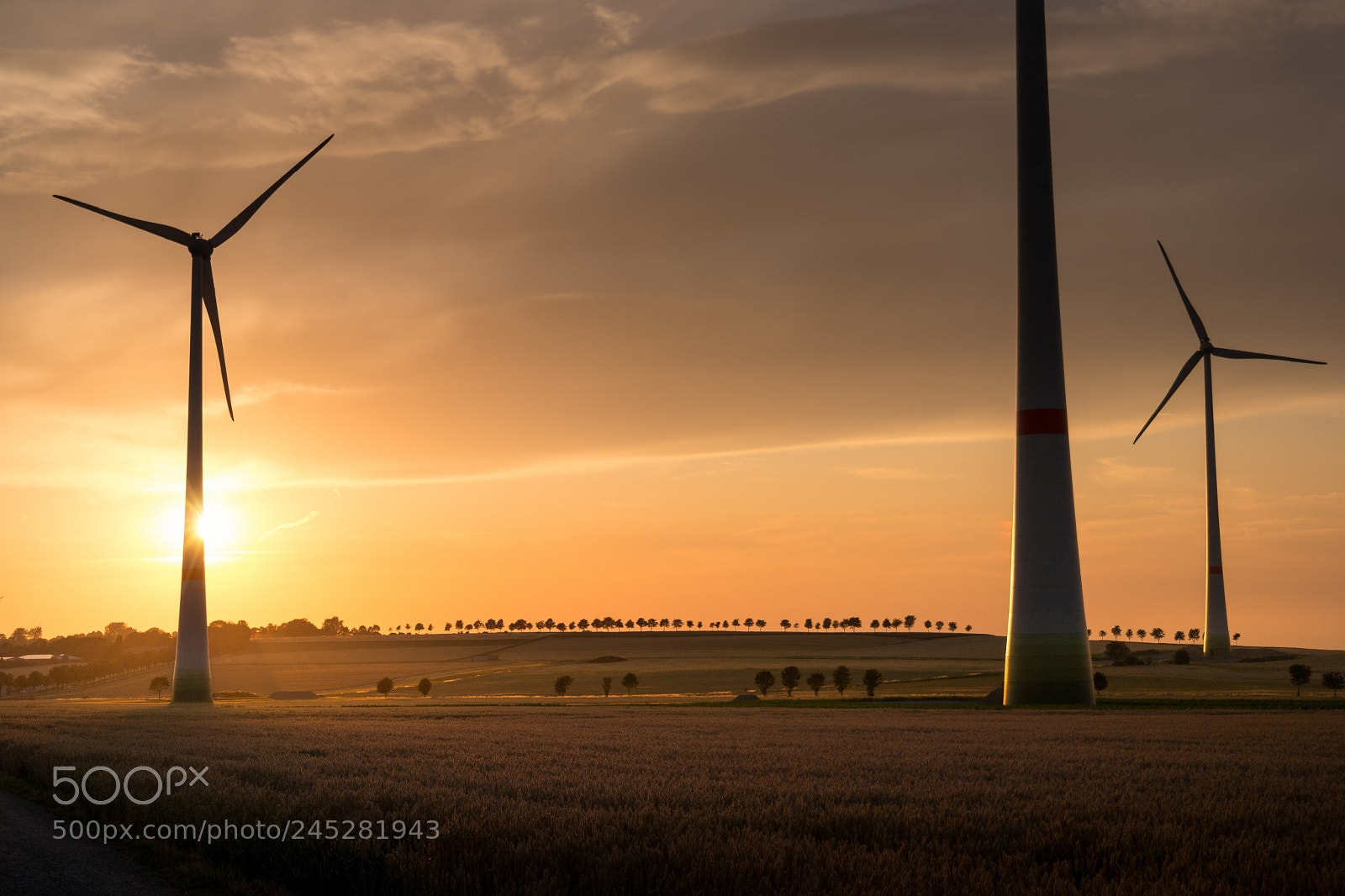 Samsung NX300 sample photo. Trading wind photography