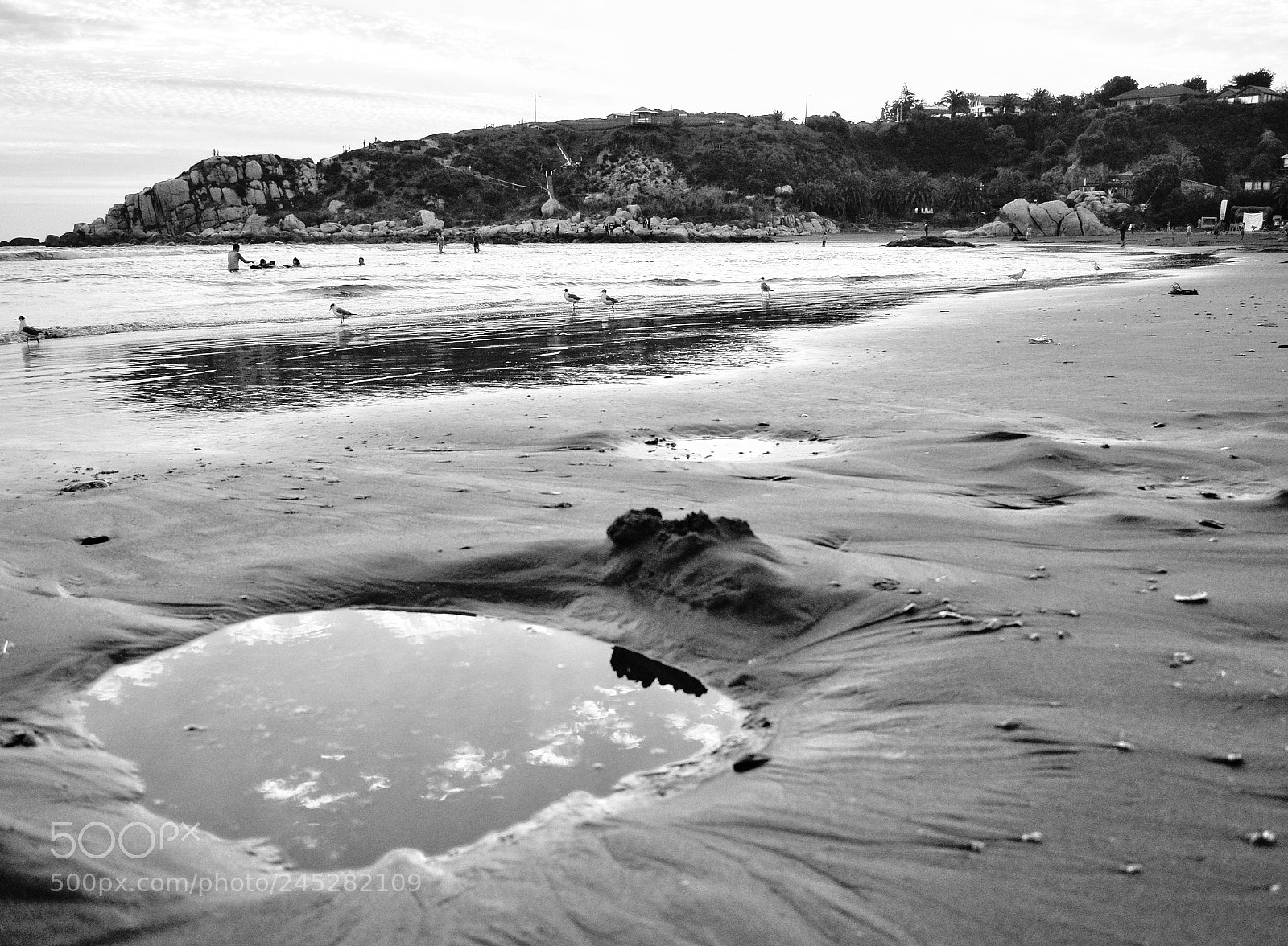 Nikon D5200 sample photo. Puddle photography