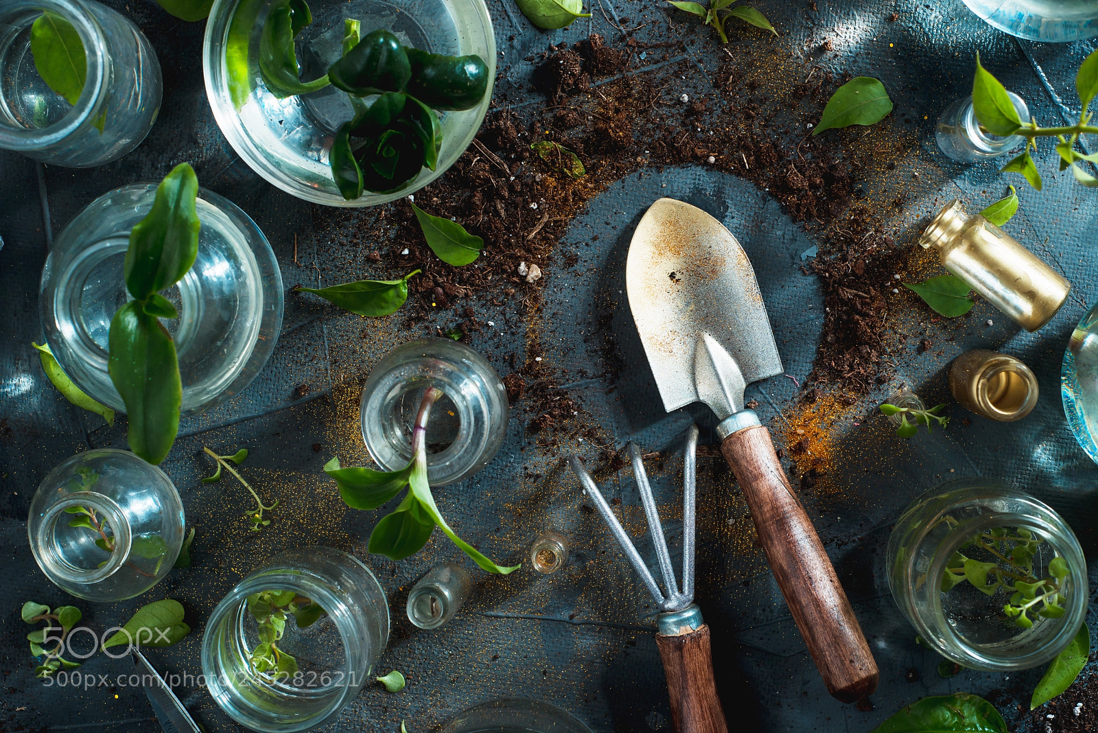 Nikon D800 sample photo. Header with botanical still photography