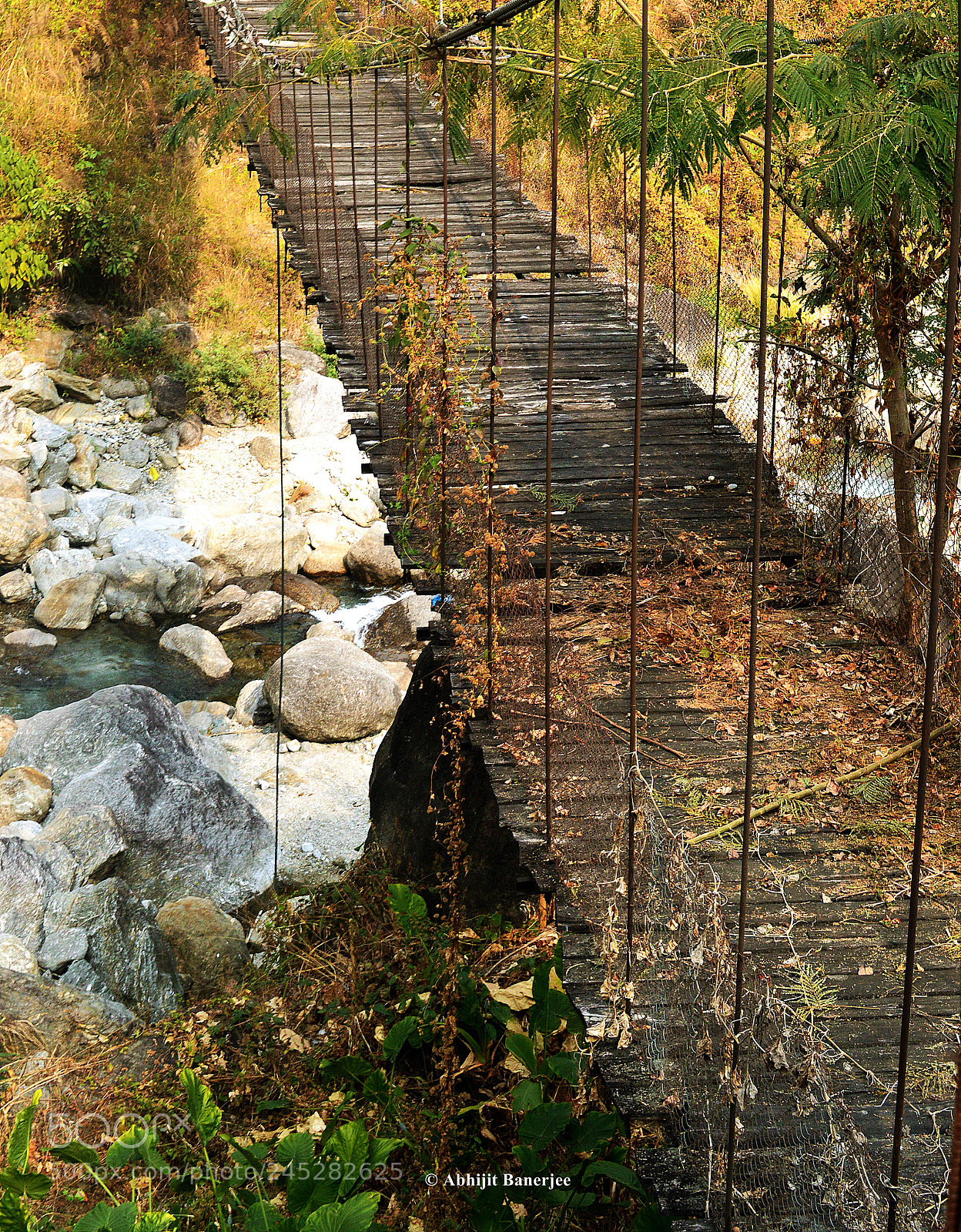 Nikon D3200 sample photo. Abundant suspension bridge photography