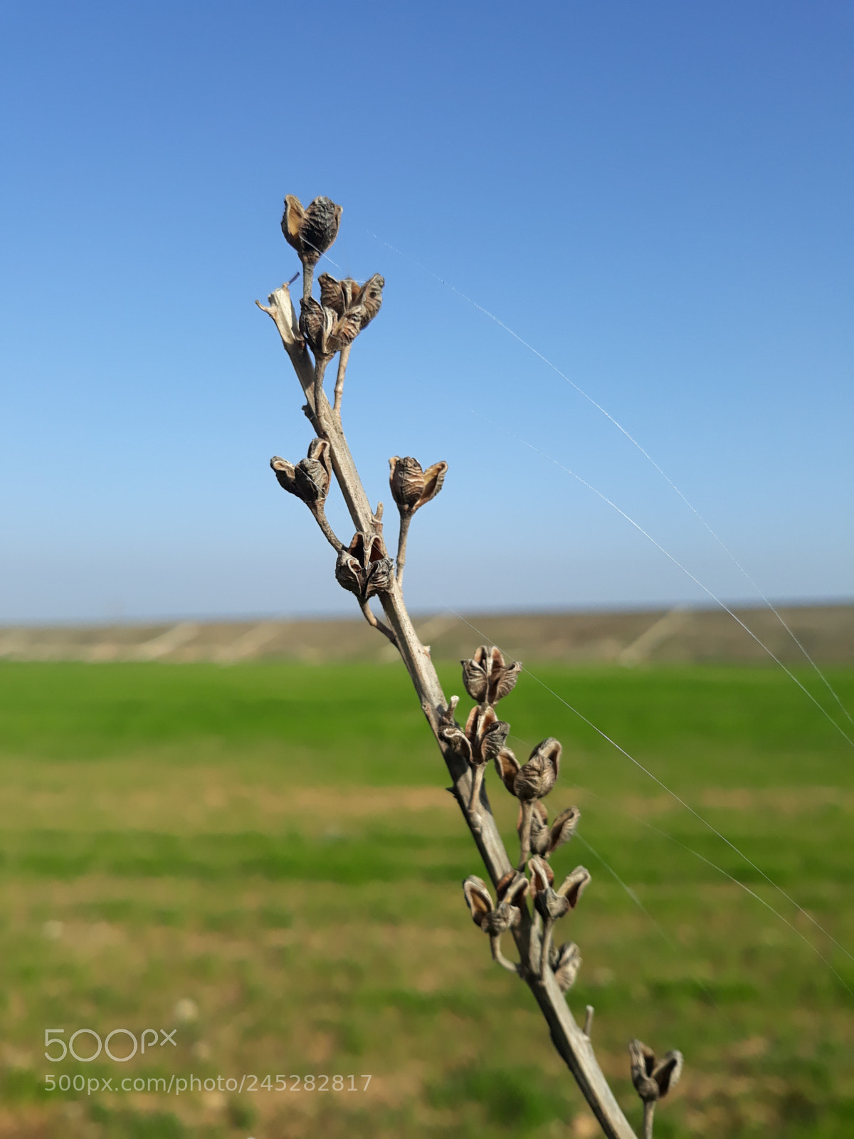 Samsung Galaxy J7 sample photo. Untitled photography
