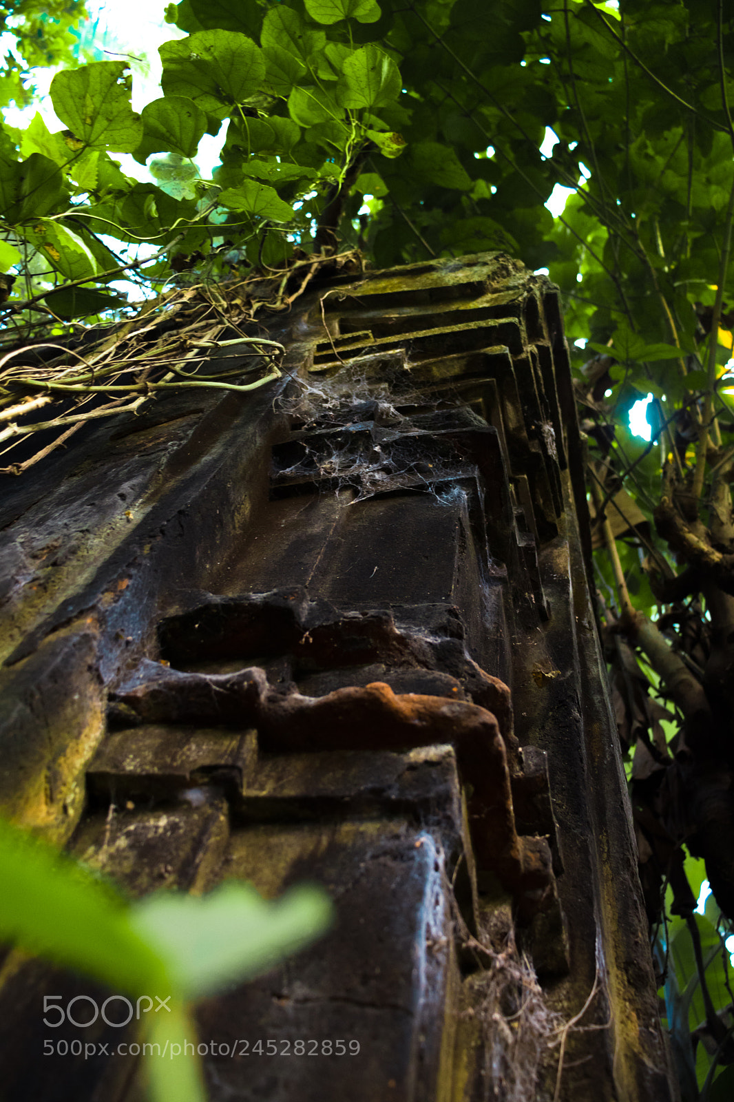 Canon EOS 77D (EOS 9000D / EOS 770D) sample photo. |¦ heritage ¦| photography