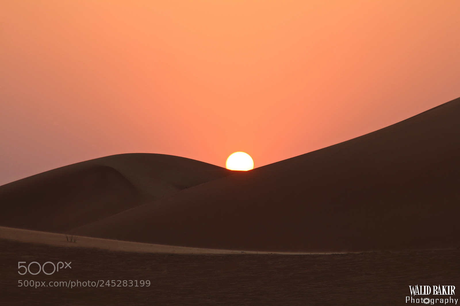 Canon EOS 650D (EOS Rebel T4i / EOS Kiss X6i) sample photo. Desert and sunset photography