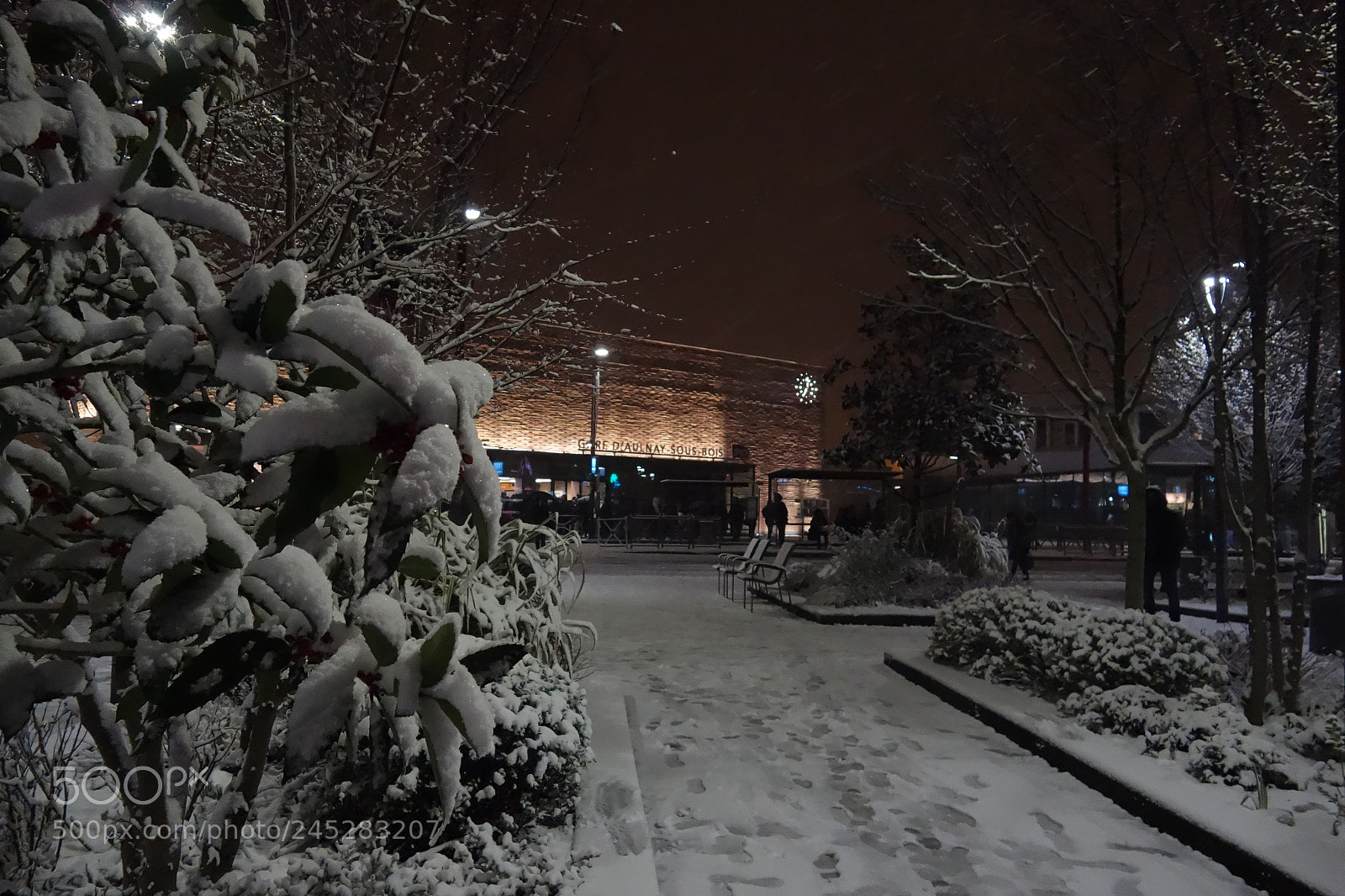 Sony Cyber-shot DSC-RX100 sample photo. La gare eneigée photography