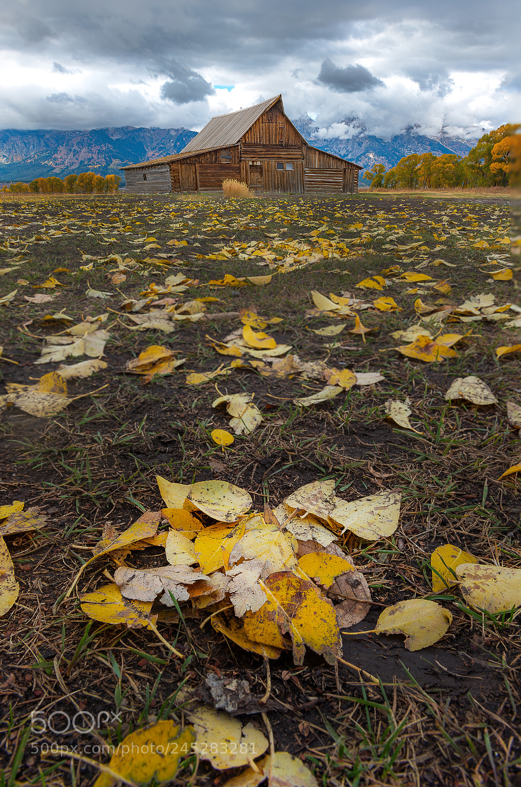 Nikon D800E sample photo. Mormon row historic in photography