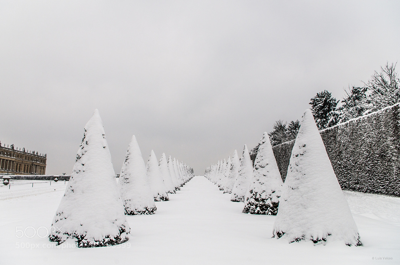 Pentax K-30 sample photo. Snow gardens photography