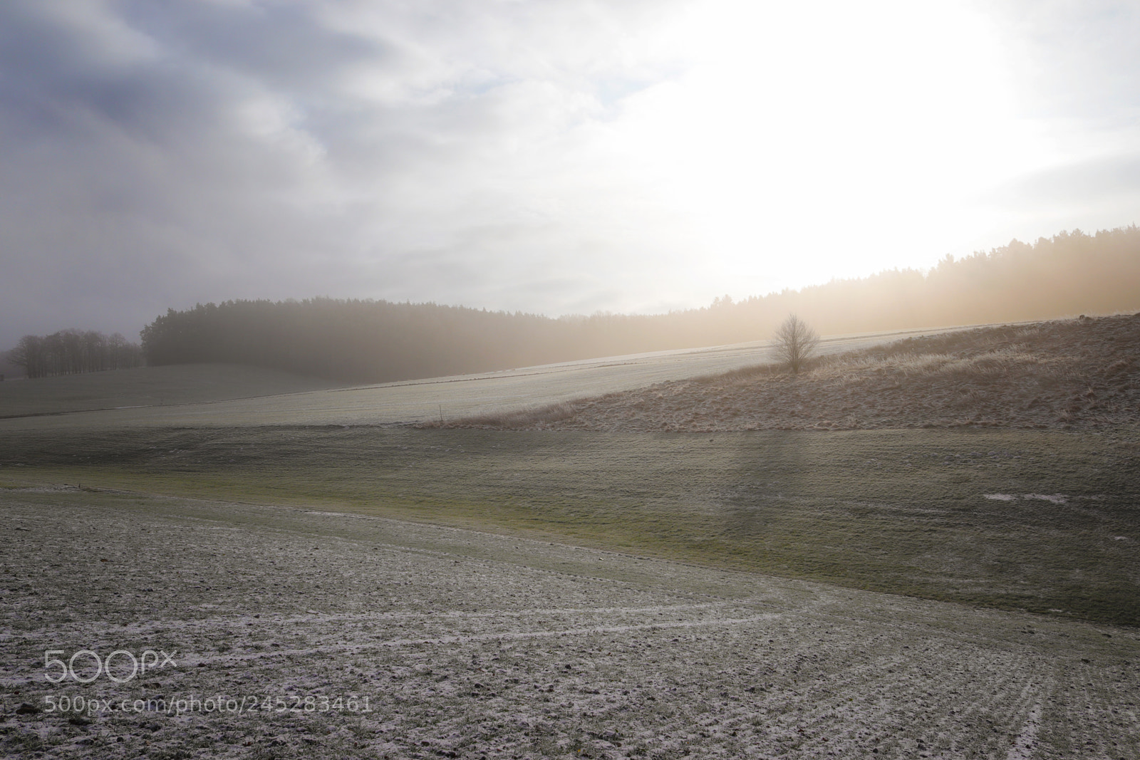 Canon EOS 200D (EOS Rebel SL2 / EOS Kiss X9) sample photo. Frosty morning iii photography