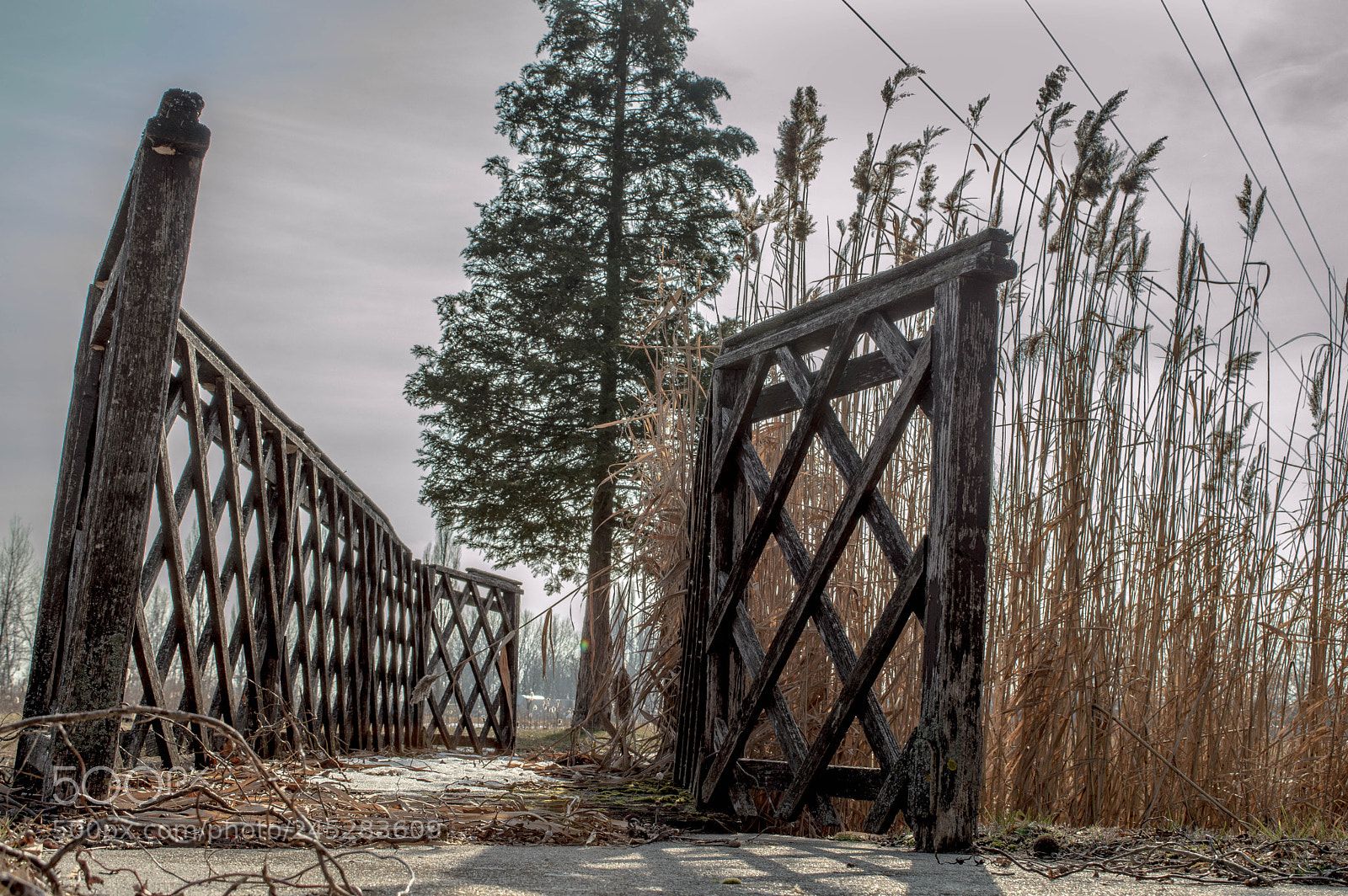 Nikon D3200 sample photo. To the other side photography