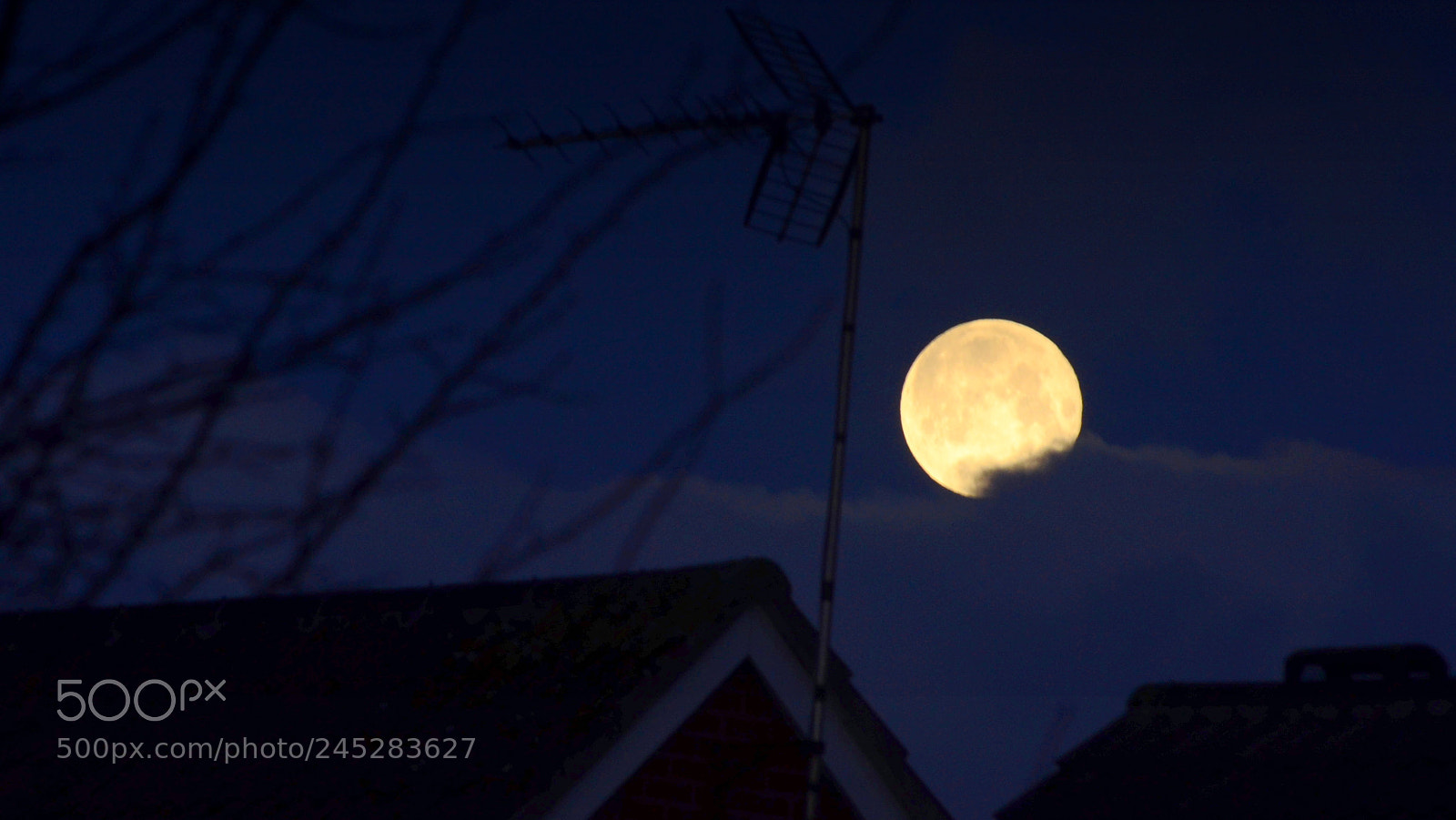 Nikon D5100 sample photo. Super moon! photography