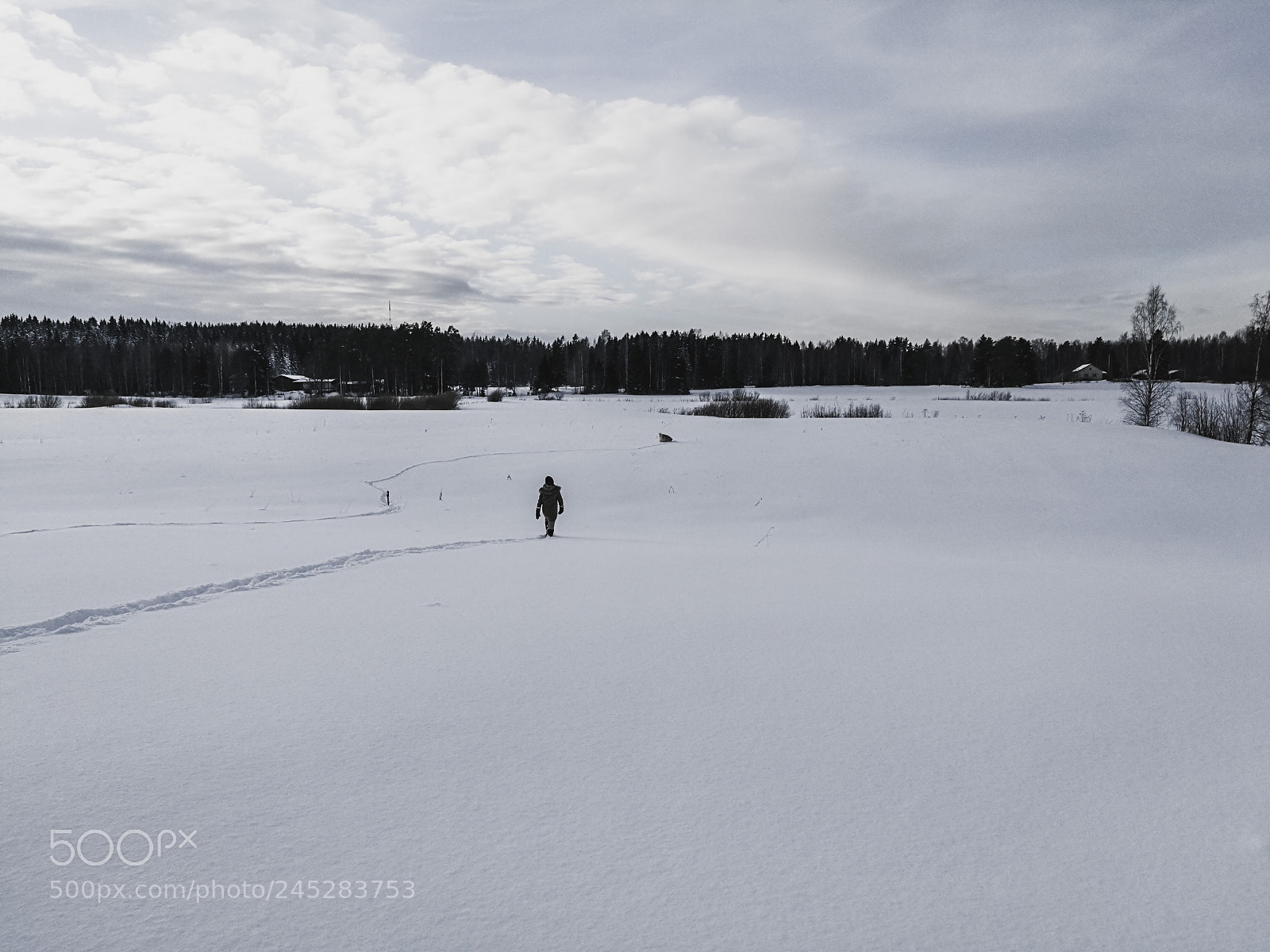 HUAWEI Honor 8 sample photo. Winter trek photography