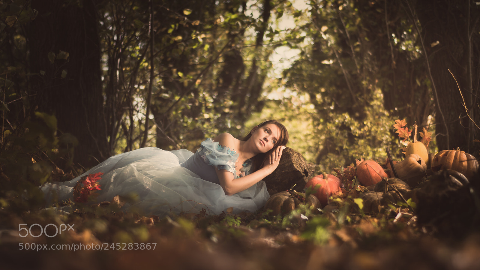 Nikon D7100 sample photo. Cendrillon photography