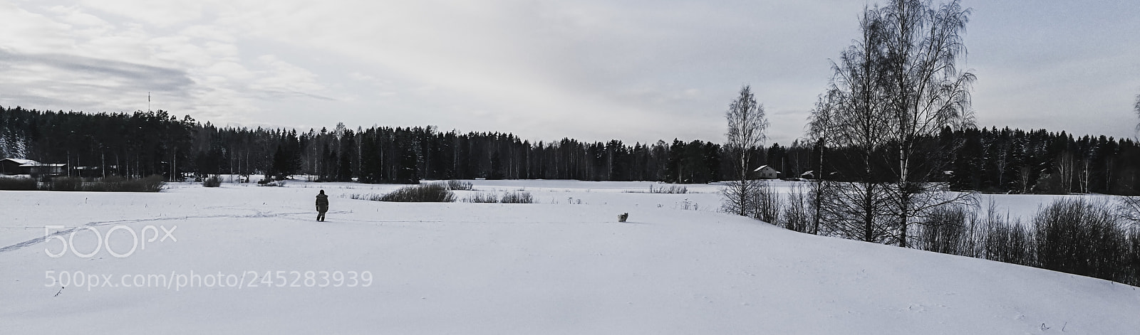 HUAWEI Honor 8 sample photo. Winter panorama photography