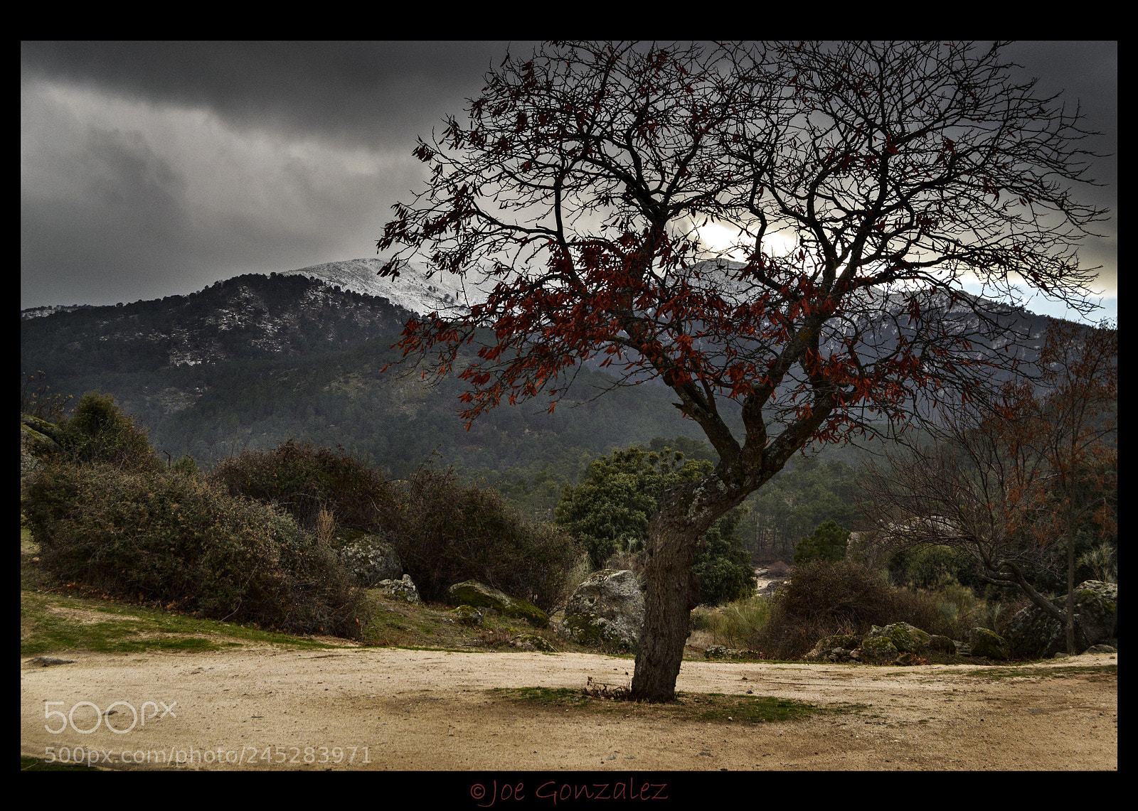 Nikon D3100 sample photo. The best one photography