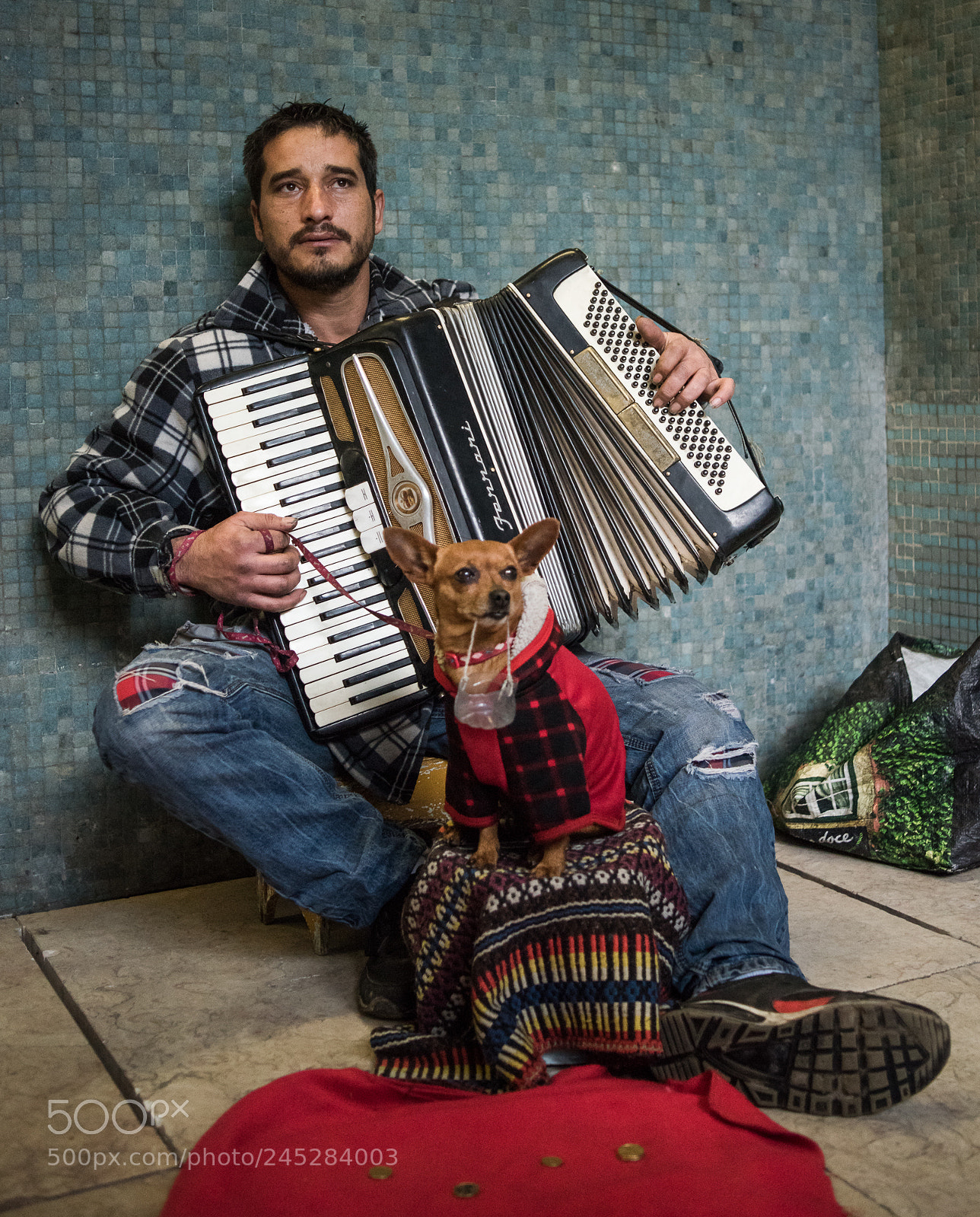 Nikon D810 sample photo. Street musician photography