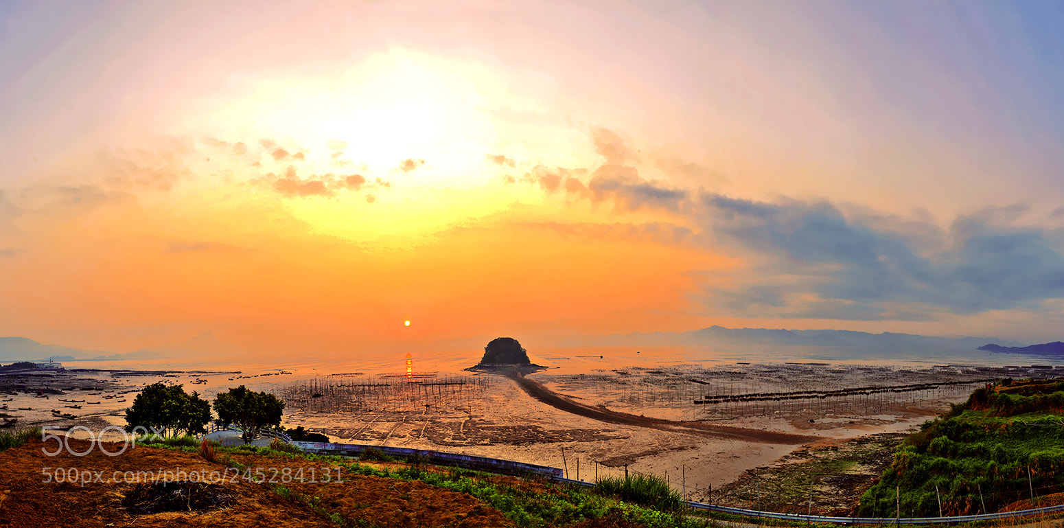 Nikon D800E sample photo. 晨光下的滩涂 photography