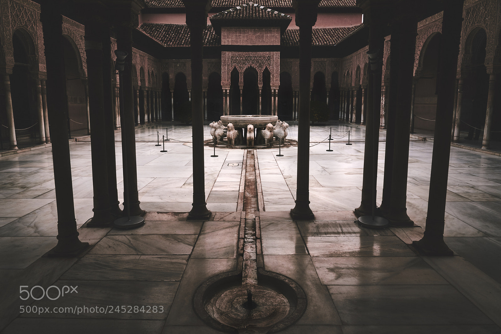 Sony a7R III sample photo. L e o n photography