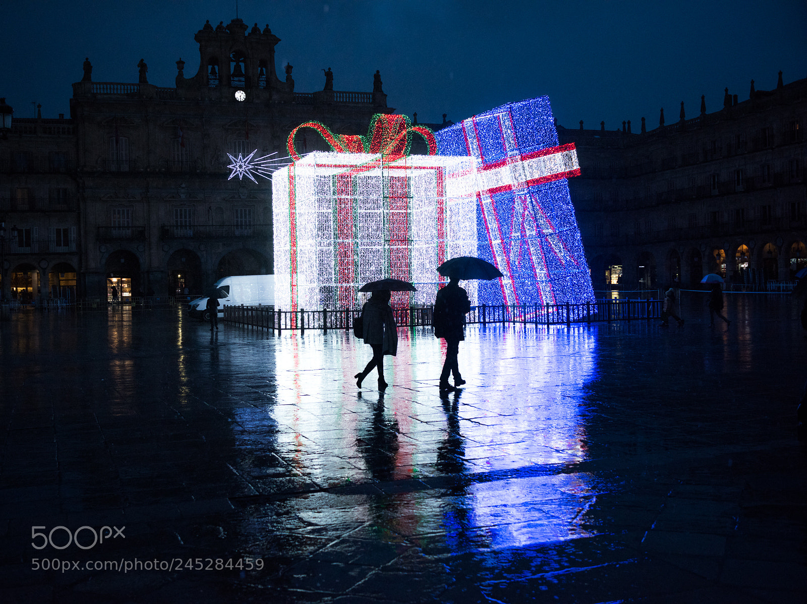 Nikon D810 sample photo. Rainy night during christmas photography