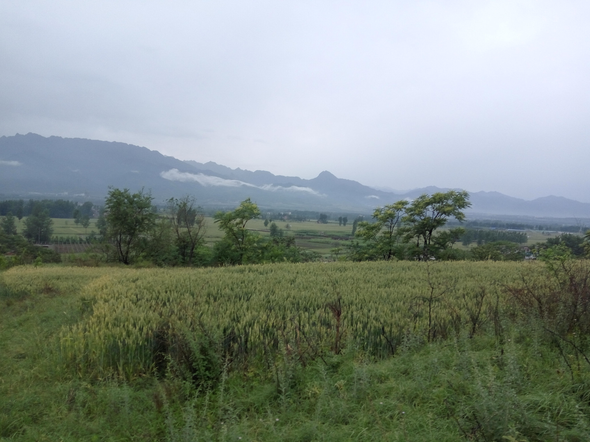 Xiaomi Redmi Note 3 sample photo
