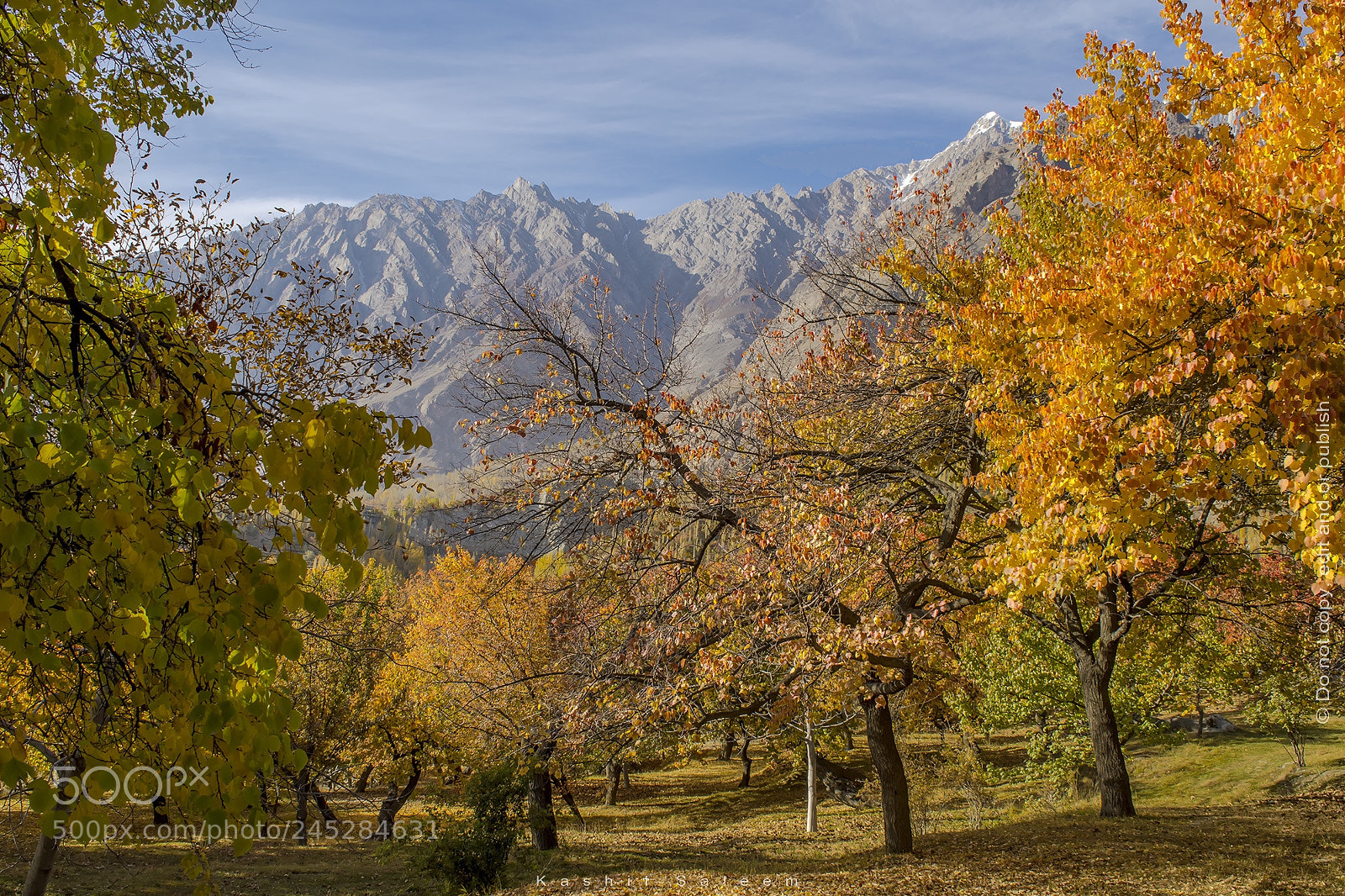 Nikon D7200 sample photo. Colours of autumn in photography