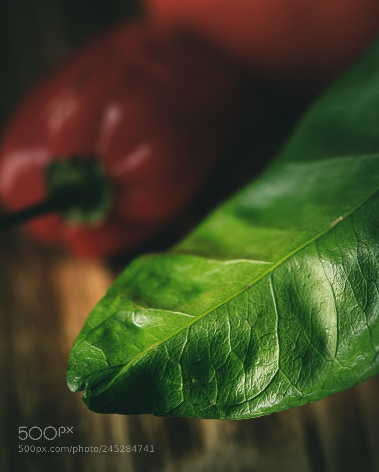 Canon EOS 6D Mark II sample photo. Sharp green photography