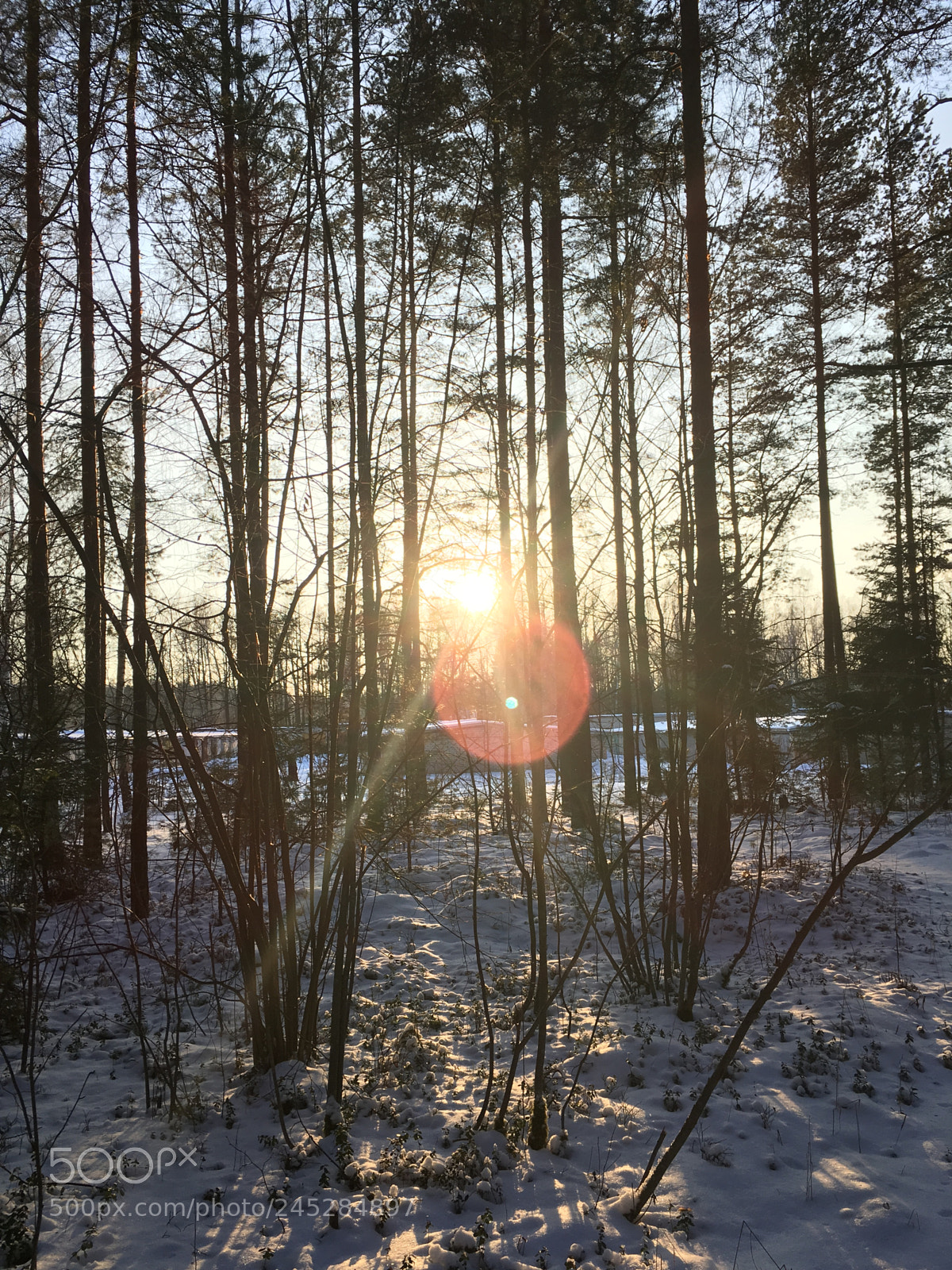Apple iPhone SE sample photo. Sunset photography
