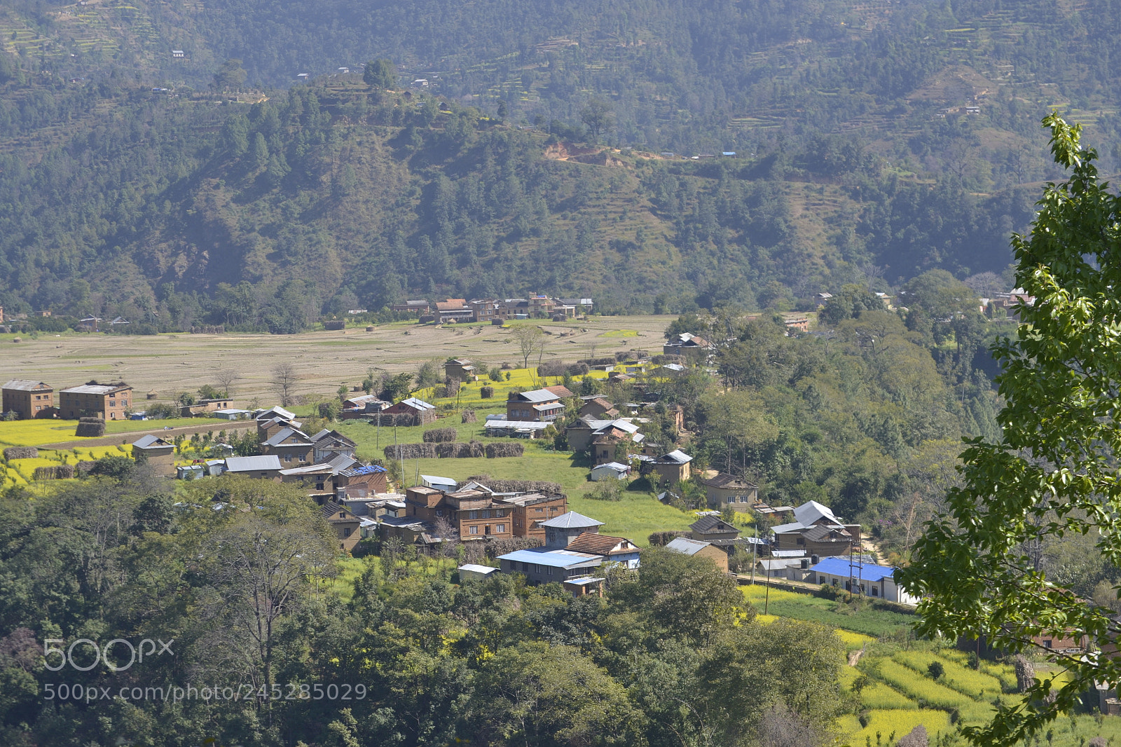 Nikon D3100 sample photo. Village amid nature photography